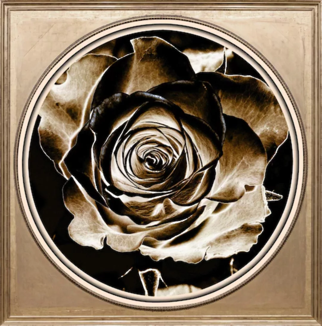 queence Acrylglasbild »Rose Sepia« günstig online kaufen