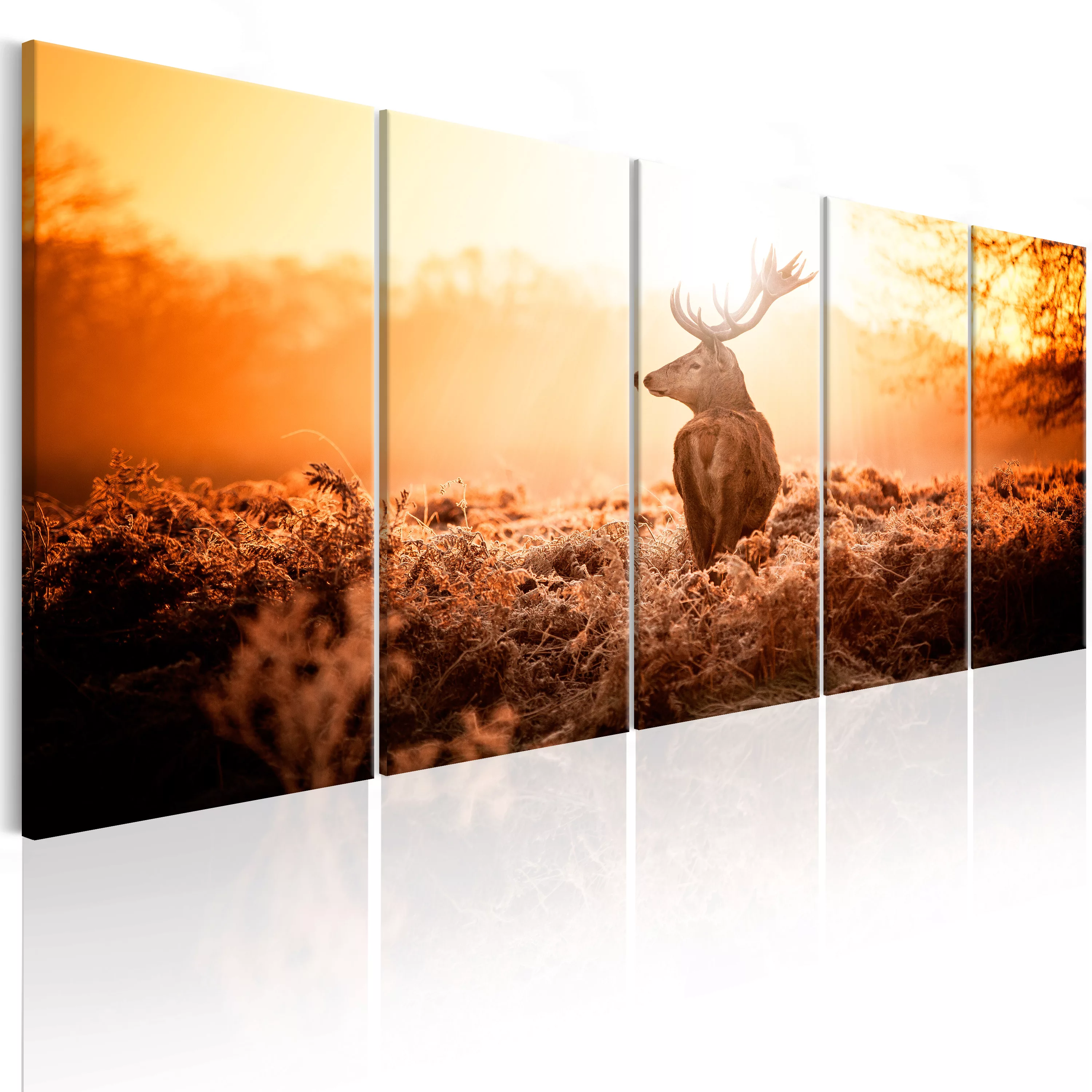 Wandbild - Deer At Sunset günstig online kaufen