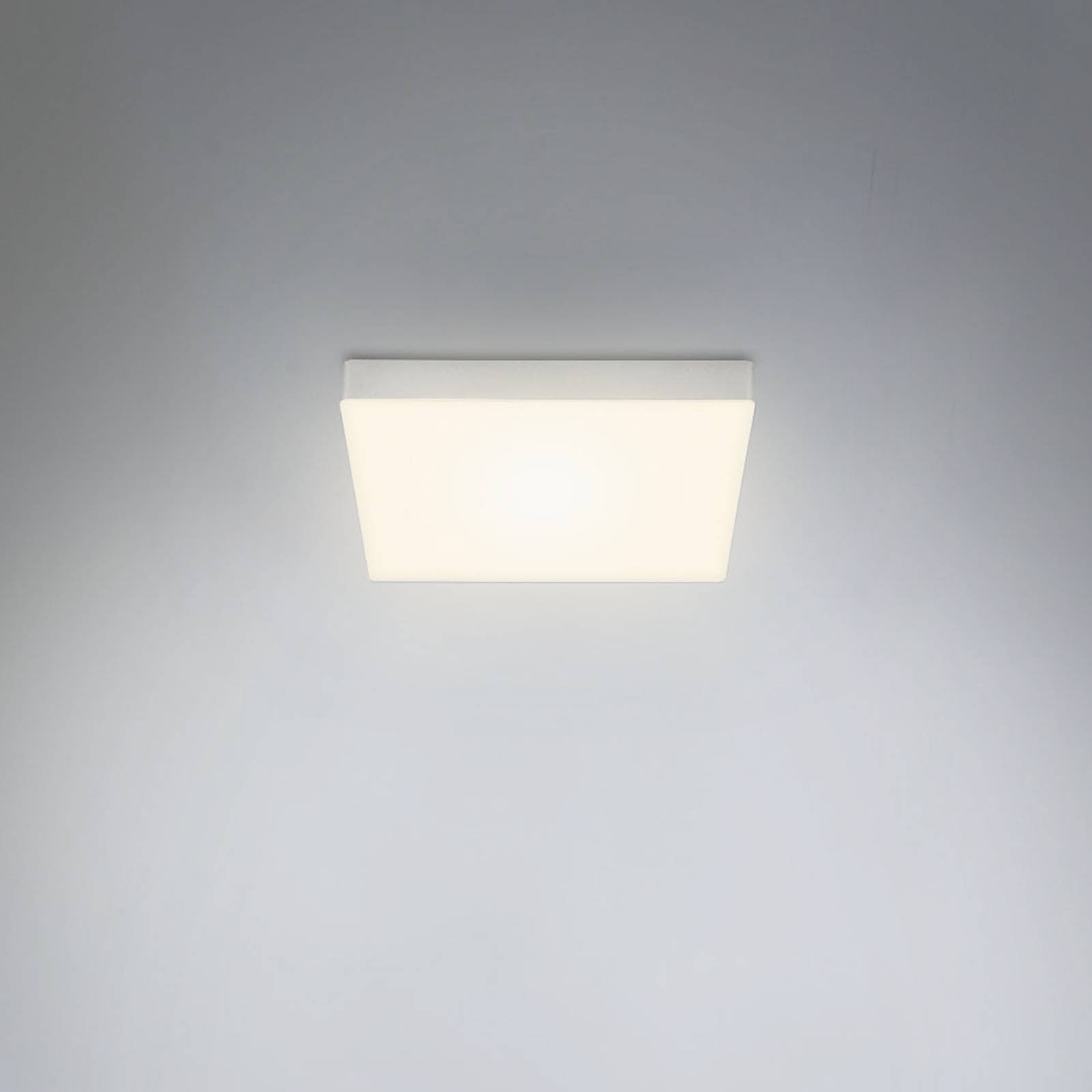 LED-Deckenleuchte Flame, 21,2 x 21,2 cm, silber günstig online kaufen