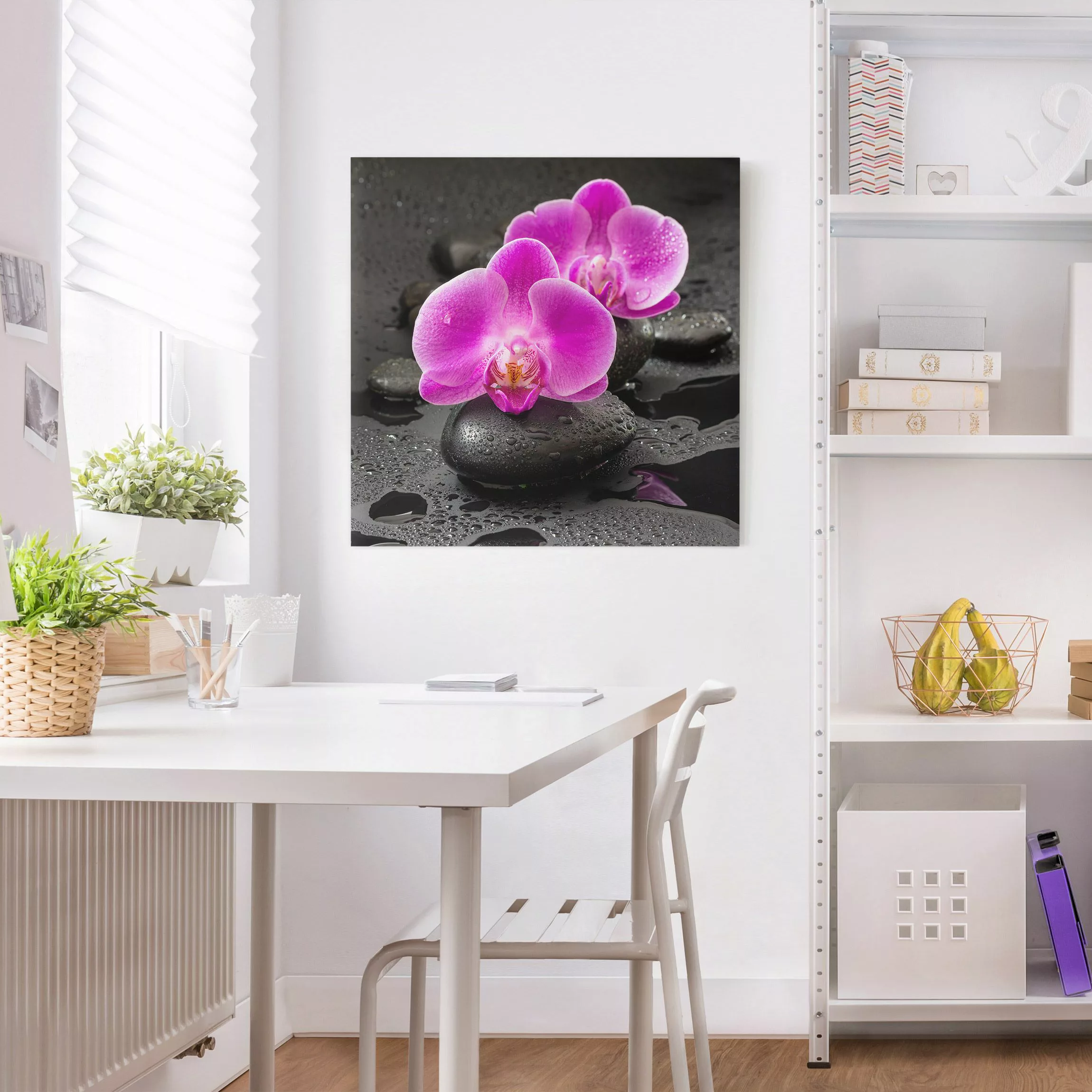 Leinwandbild Pinke Orchideenblüten auf Steinen mit Tropfen günstig online kaufen