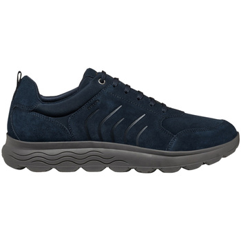 Geox  Sneaker U Spherica sneaker in camoscio günstig online kaufen