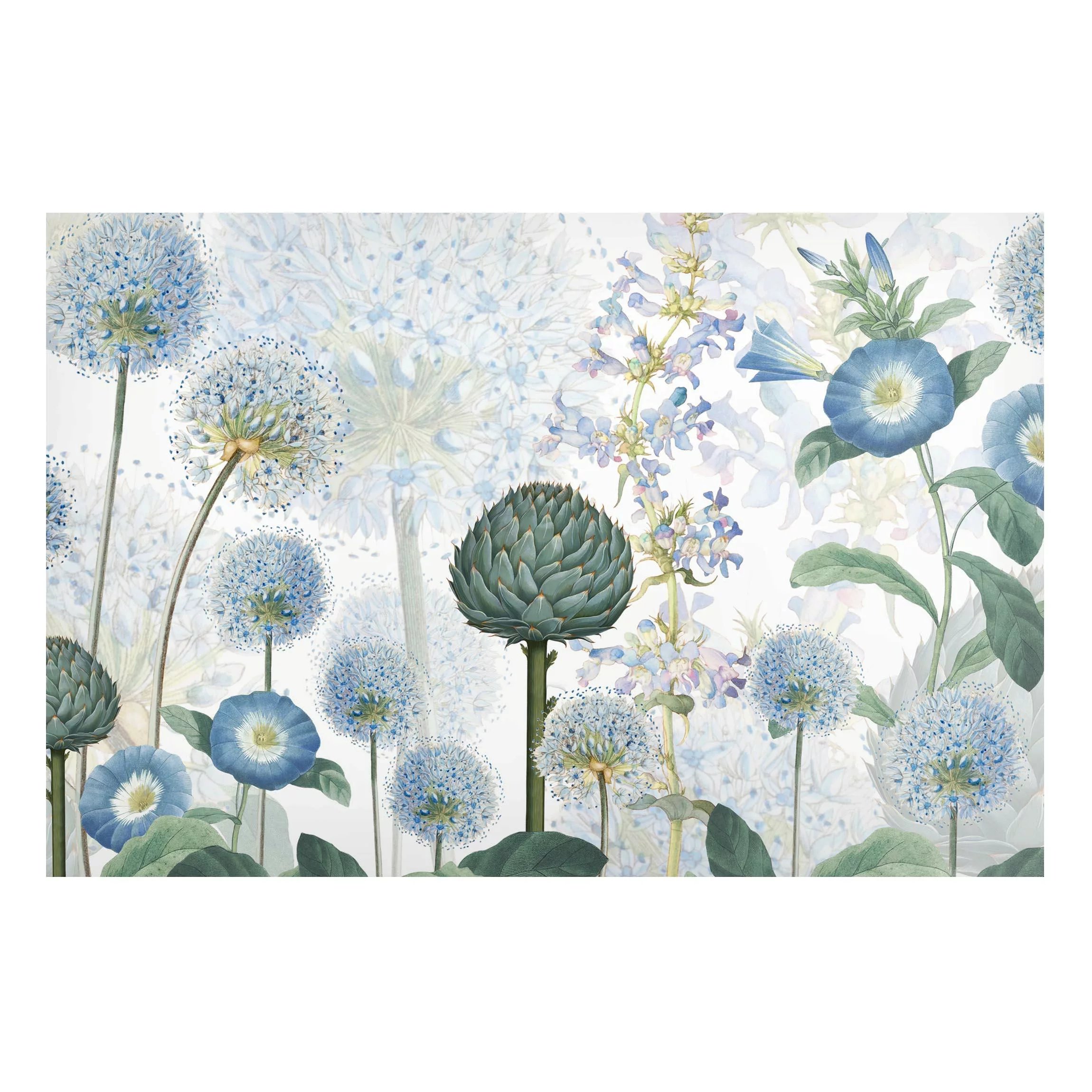 Magnettafel Blaue Alliumdolden im Wind günstig online kaufen