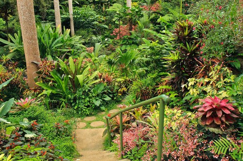 Papermoon Fototapete »GARTEN-BLUMEN BÄUME PFLANZEN PARK STEINE WALD BLÜTEN« günstig online kaufen