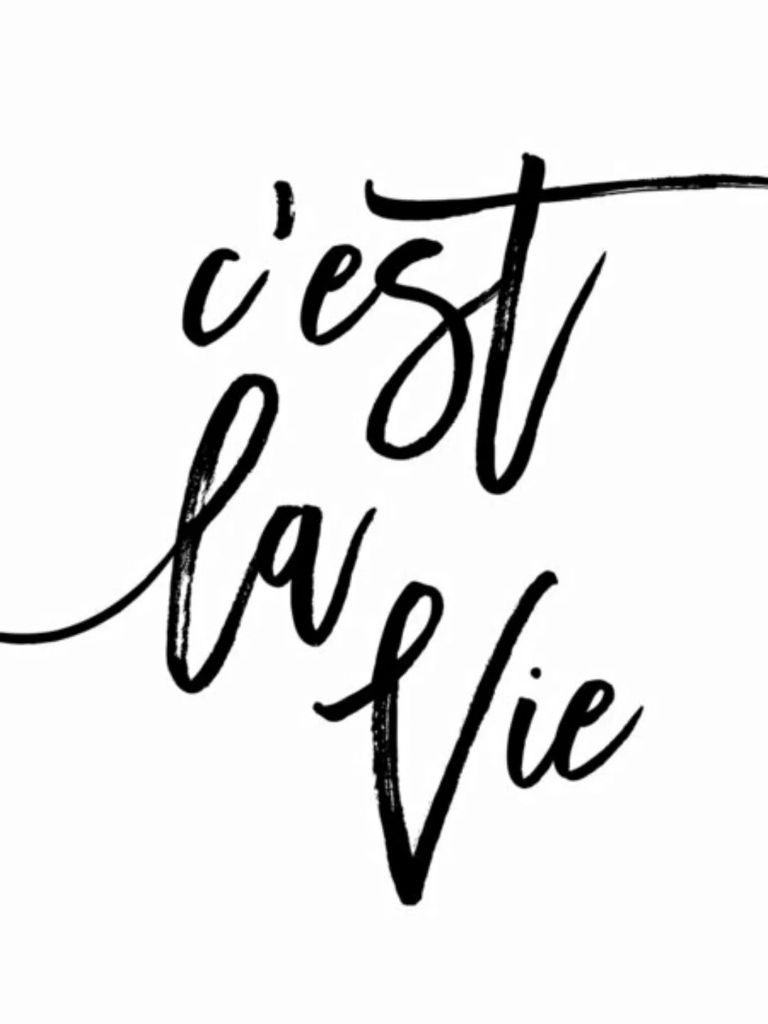 Poster / Leinwandbild - C'est La Vie günstig online kaufen