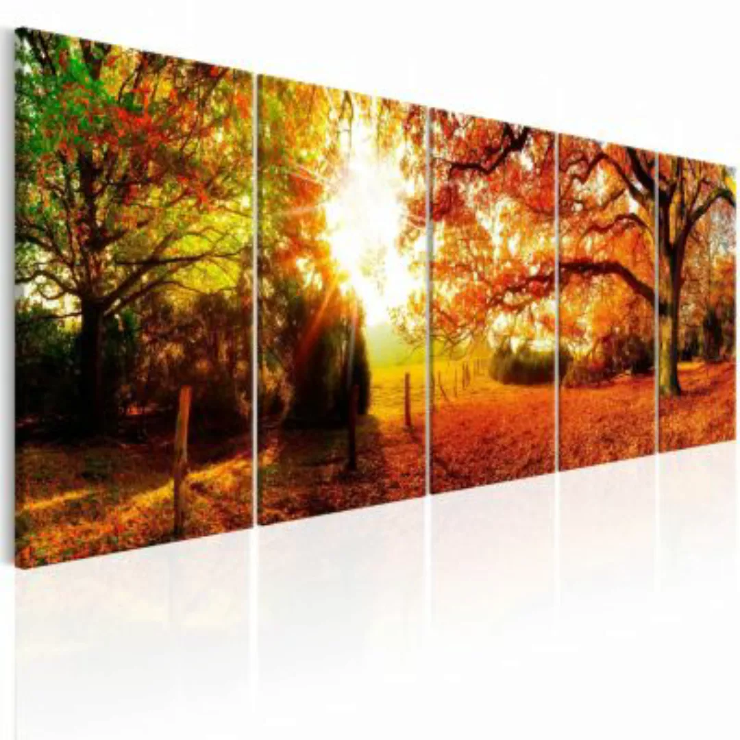 artgeist Wandbild Enchanting Autumn mehrfarbig Gr. 200 x 80 günstig online kaufen