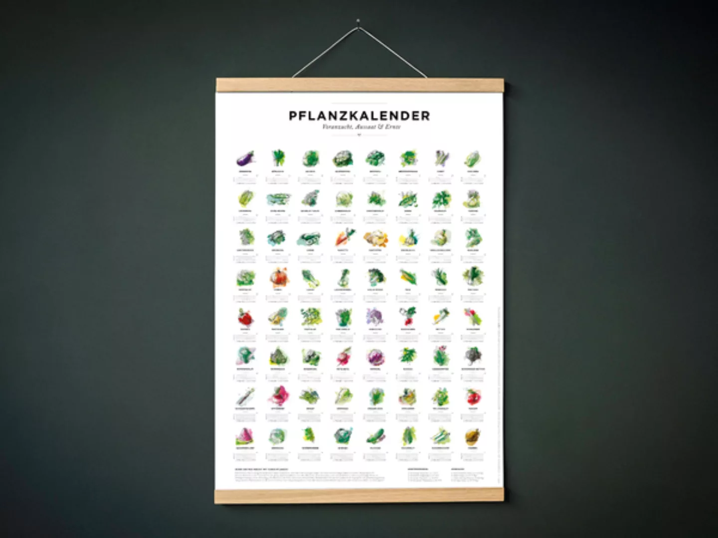 Pflanzkalender Und Aussaatkalender Für Den Garten Als Poster günstig online kaufen