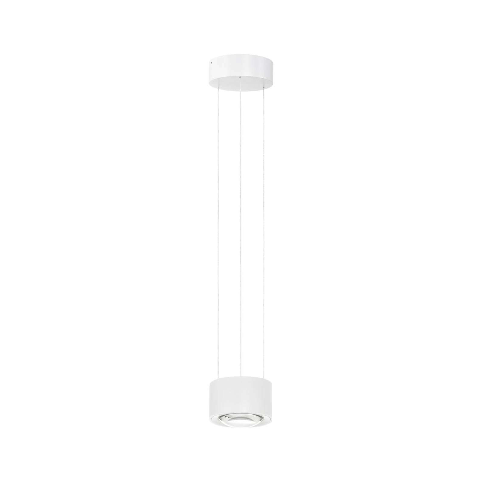 Arcchio Rotari LED-Pendellampe, Linse, up/down günstig online kaufen