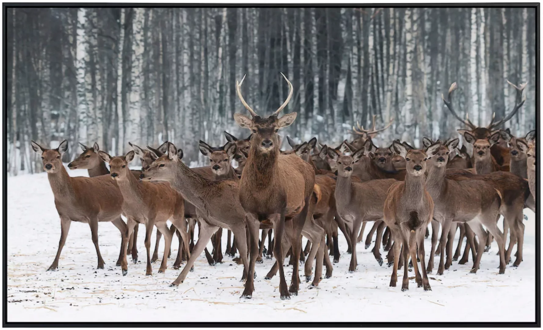 Papermoon Infrarotheizung »Hirsche im Schnee Wald« günstig online kaufen