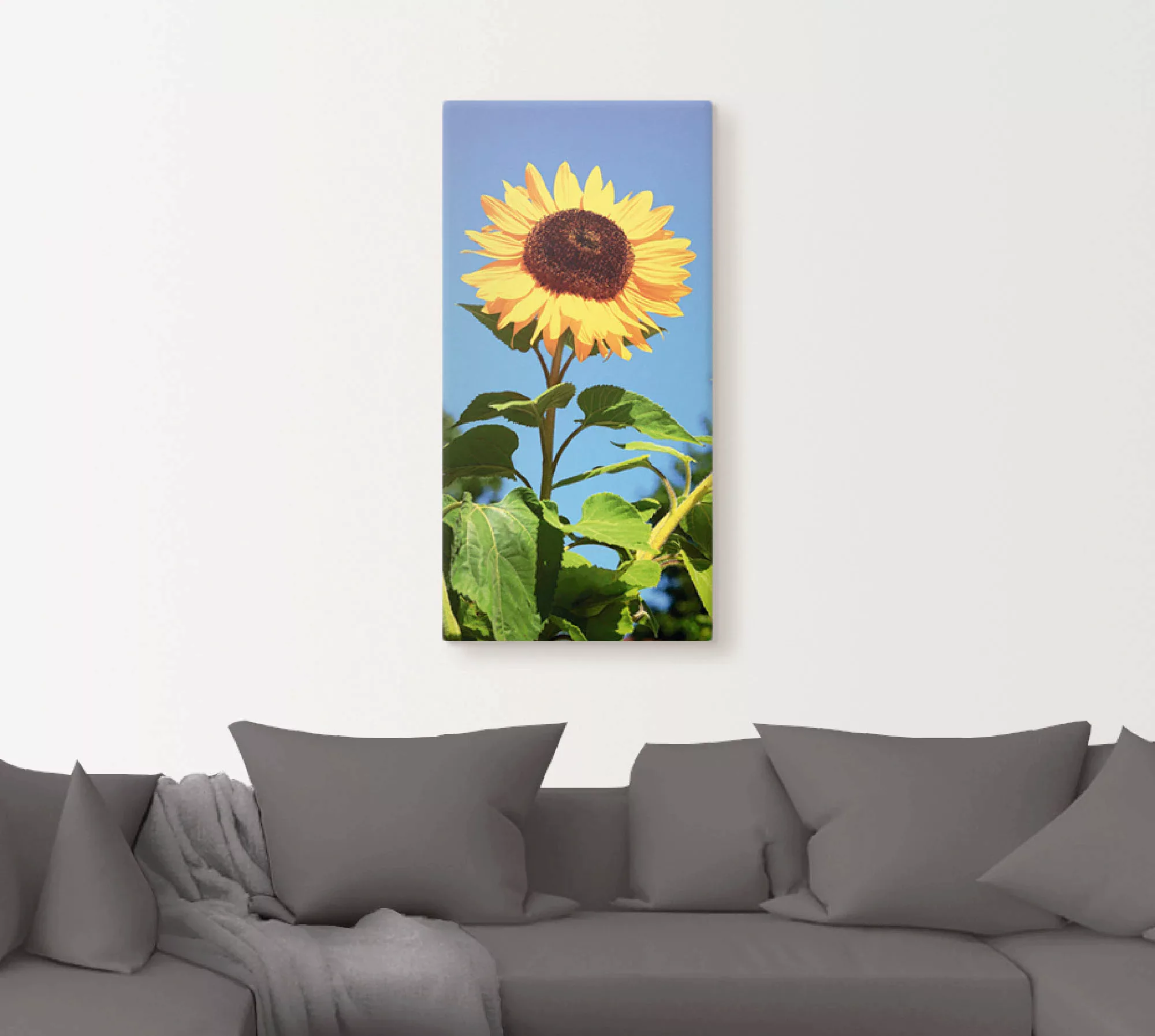 Artland Wandbild »Sonnenblume«, Blumen, (1 St.) günstig online kaufen