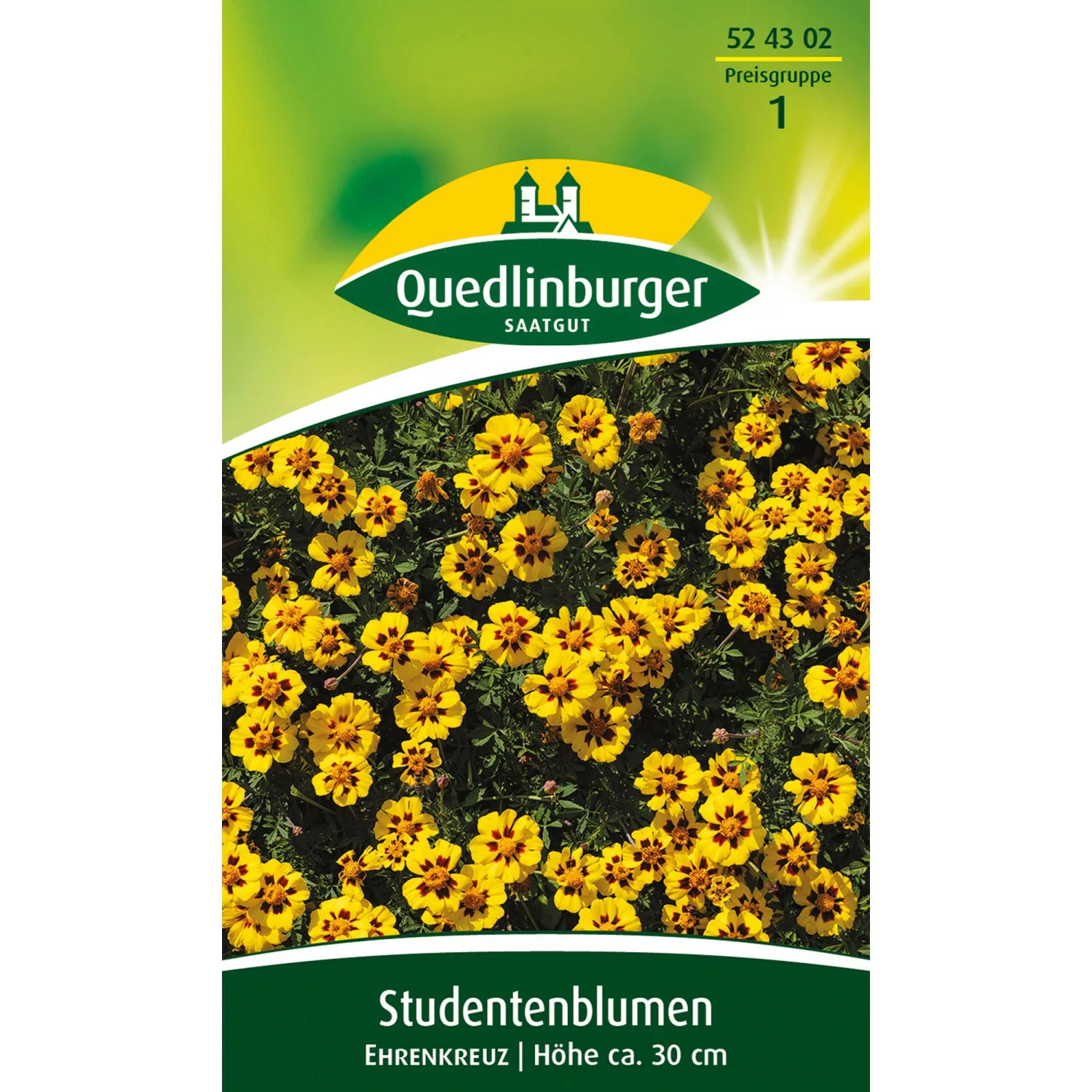 Quedlinburger Studentenblume ''Ehrenkreuz'' günstig online kaufen