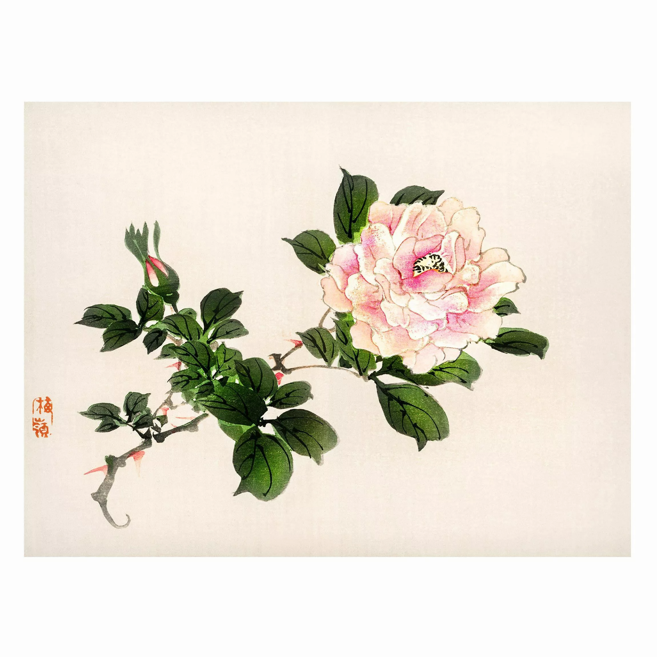 Magnettafel Blumen - Querformat 4:3 Asiatische Vintage Zeichnung Rosa Rose günstig online kaufen