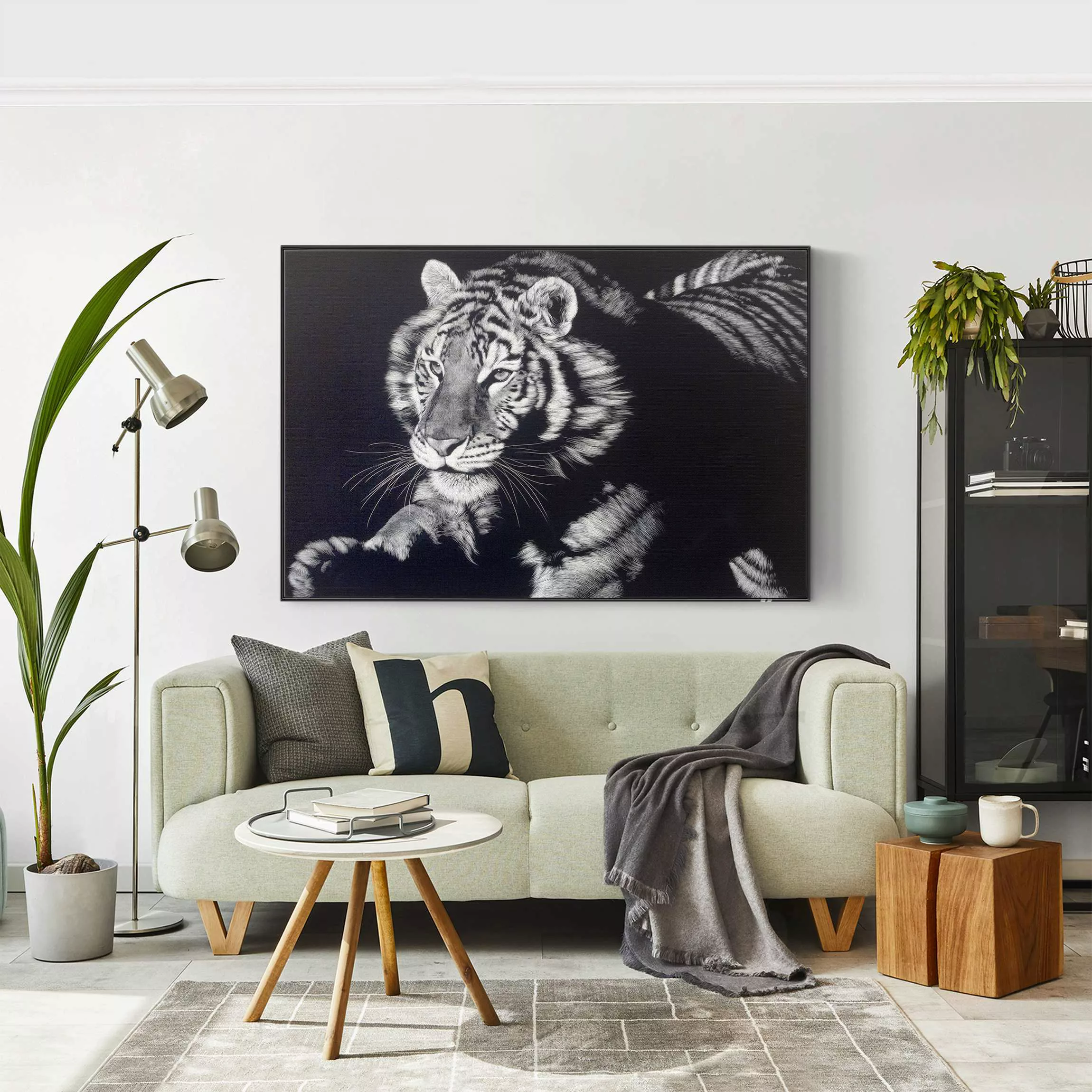 Akustik-Wechselbild Tiger im Sonnenlicht vor Schwarz günstig online kaufen