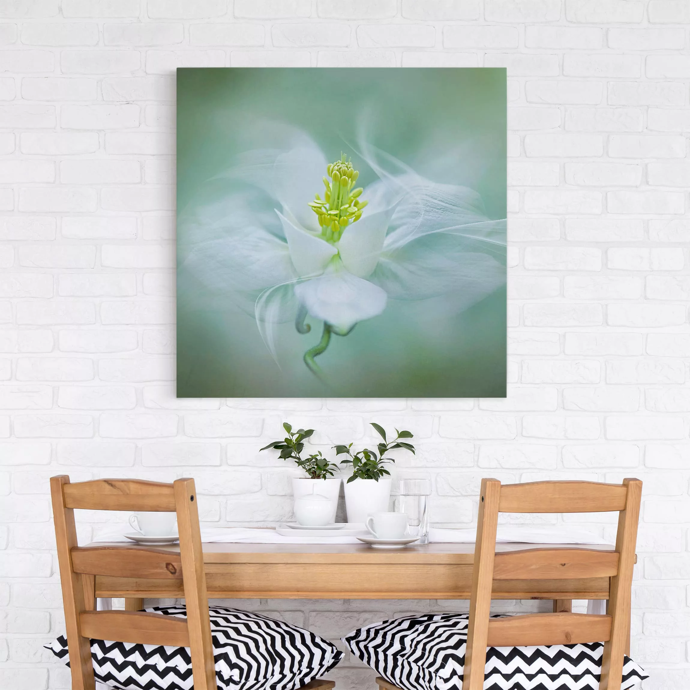 Leinwandbild Blumen - Quadrat Weiße Akelei günstig online kaufen