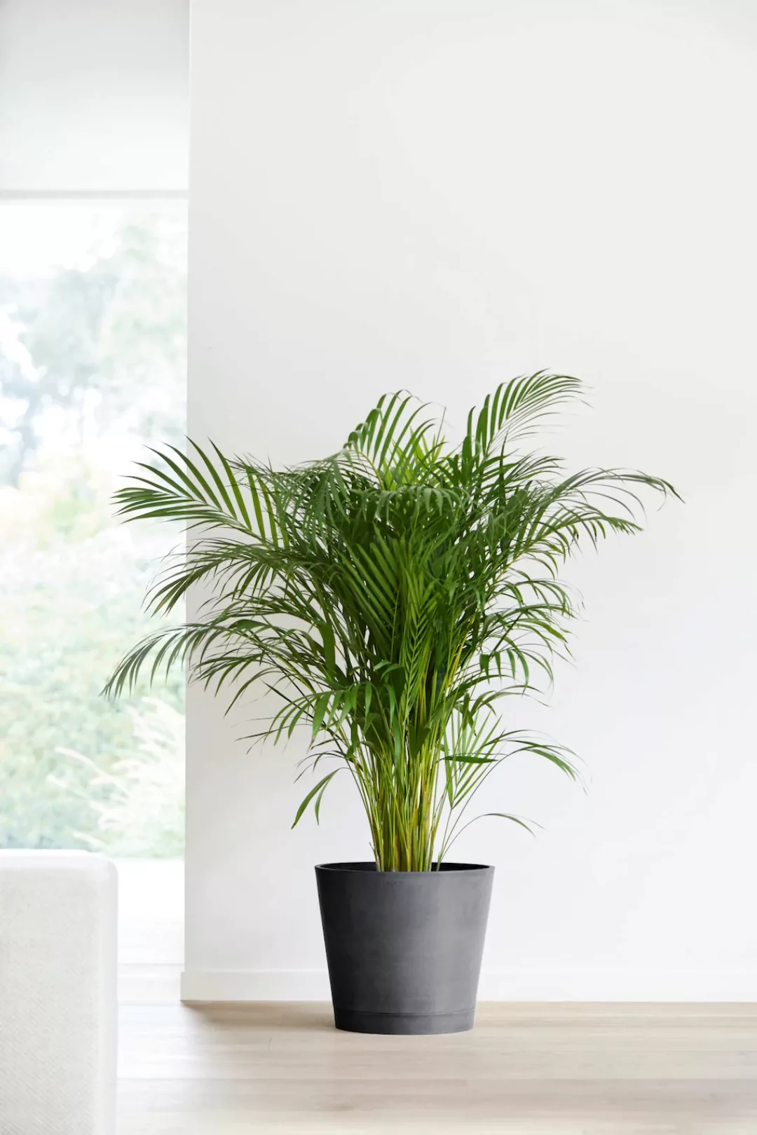 ECOPOTS Blumentopf "VENICE Dark Grey", BxTxH: 30x30x26 cm günstig online kaufen