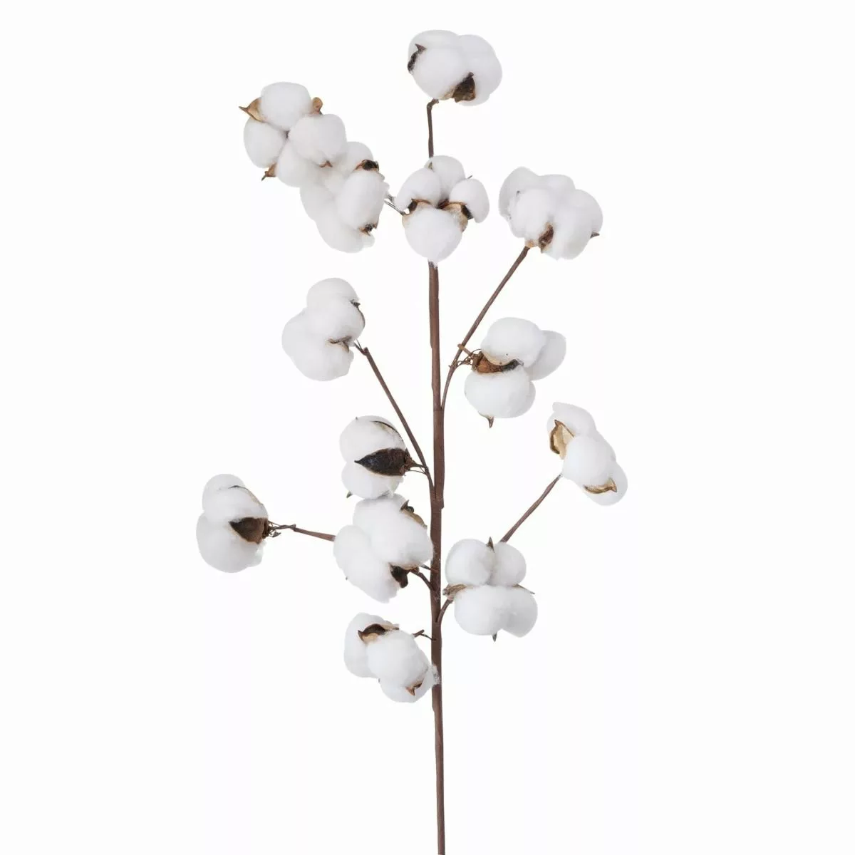 Boltze Kunstpflanzen & -blumen Dekozweig Baumwolle 68 cm (1 Stück) günstig online kaufen