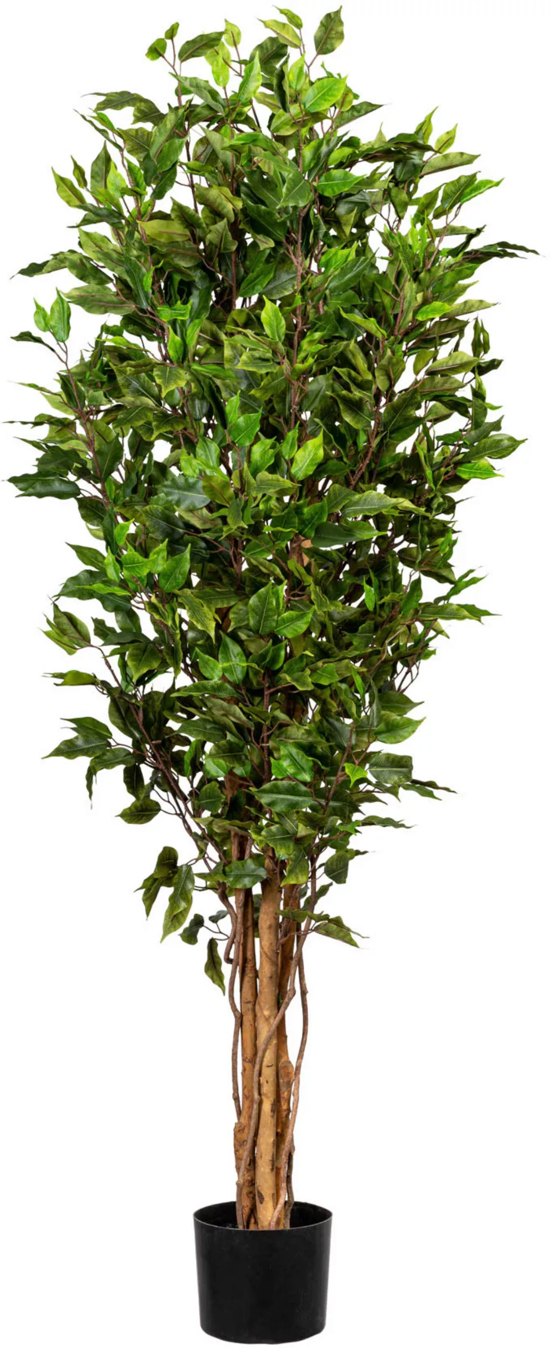 Creativ green Kunstbaum "Ficus Benjamini" günstig online kaufen