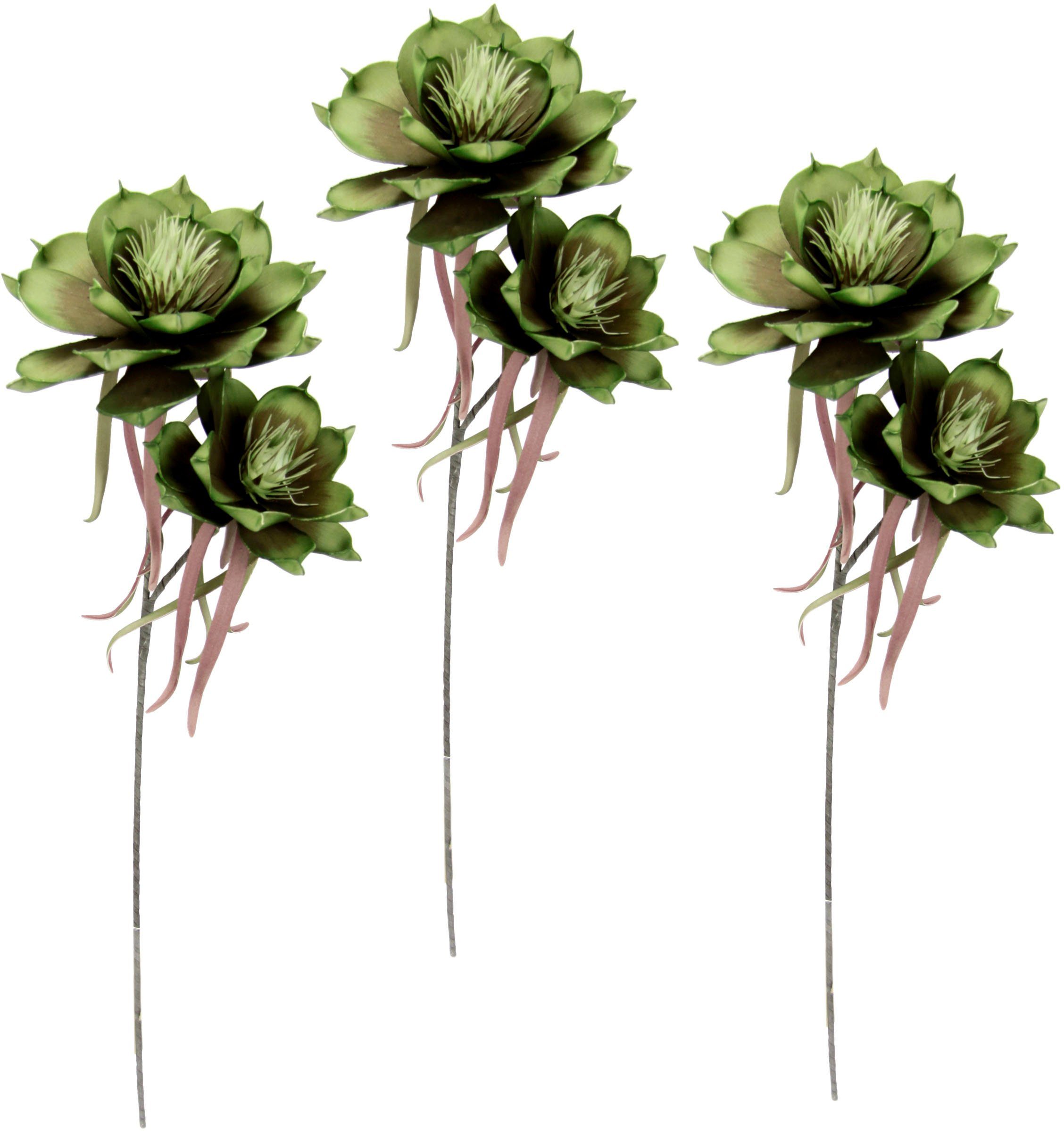Kunstblume Soft-Magnolie, I.GE.A., Höhe 84 cm, günstig online kaufen