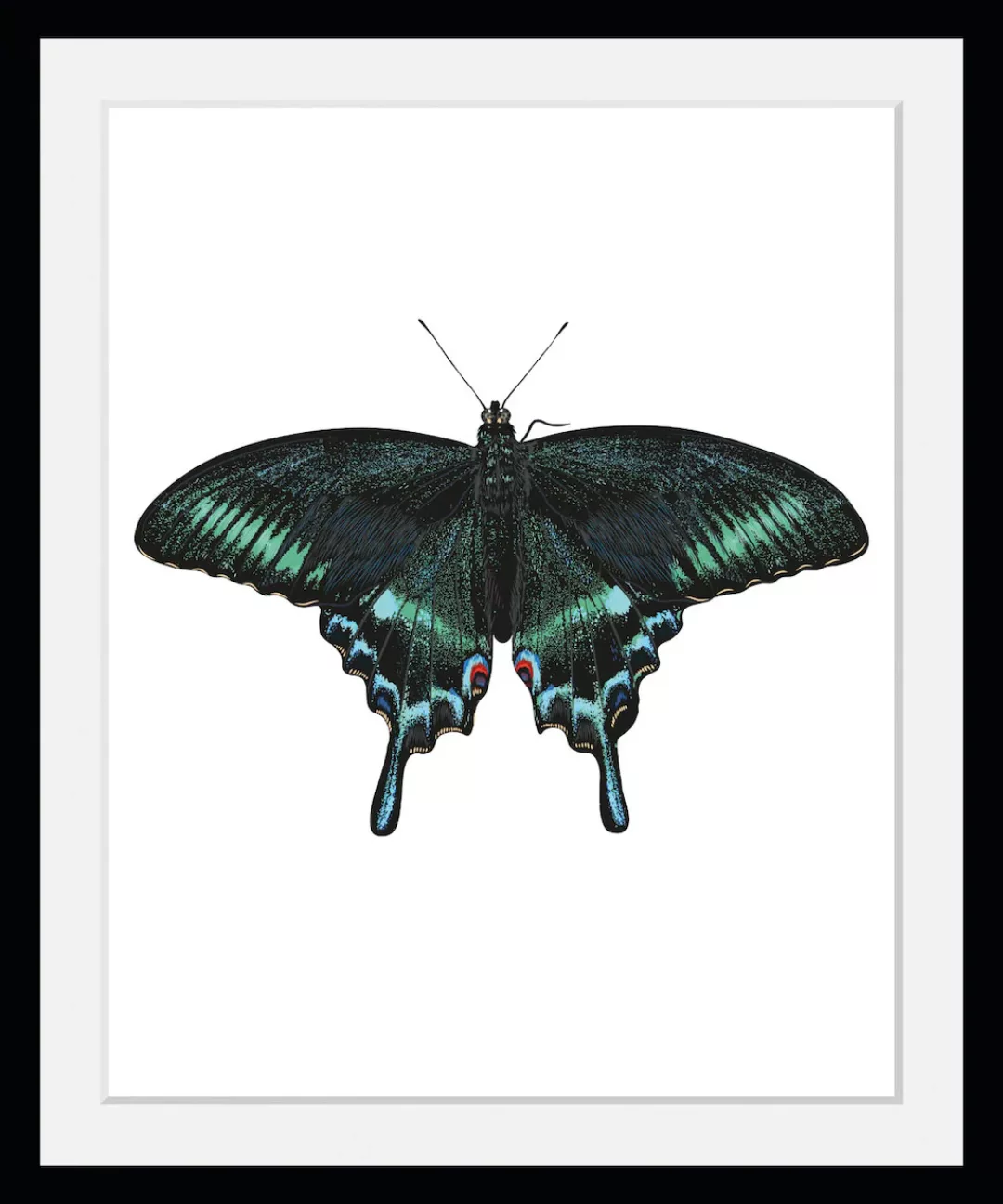 queence Bild »Lana«, Schmetterlinge-Kunst-Insekten, (1 St.), HD Premium Pos günstig online kaufen