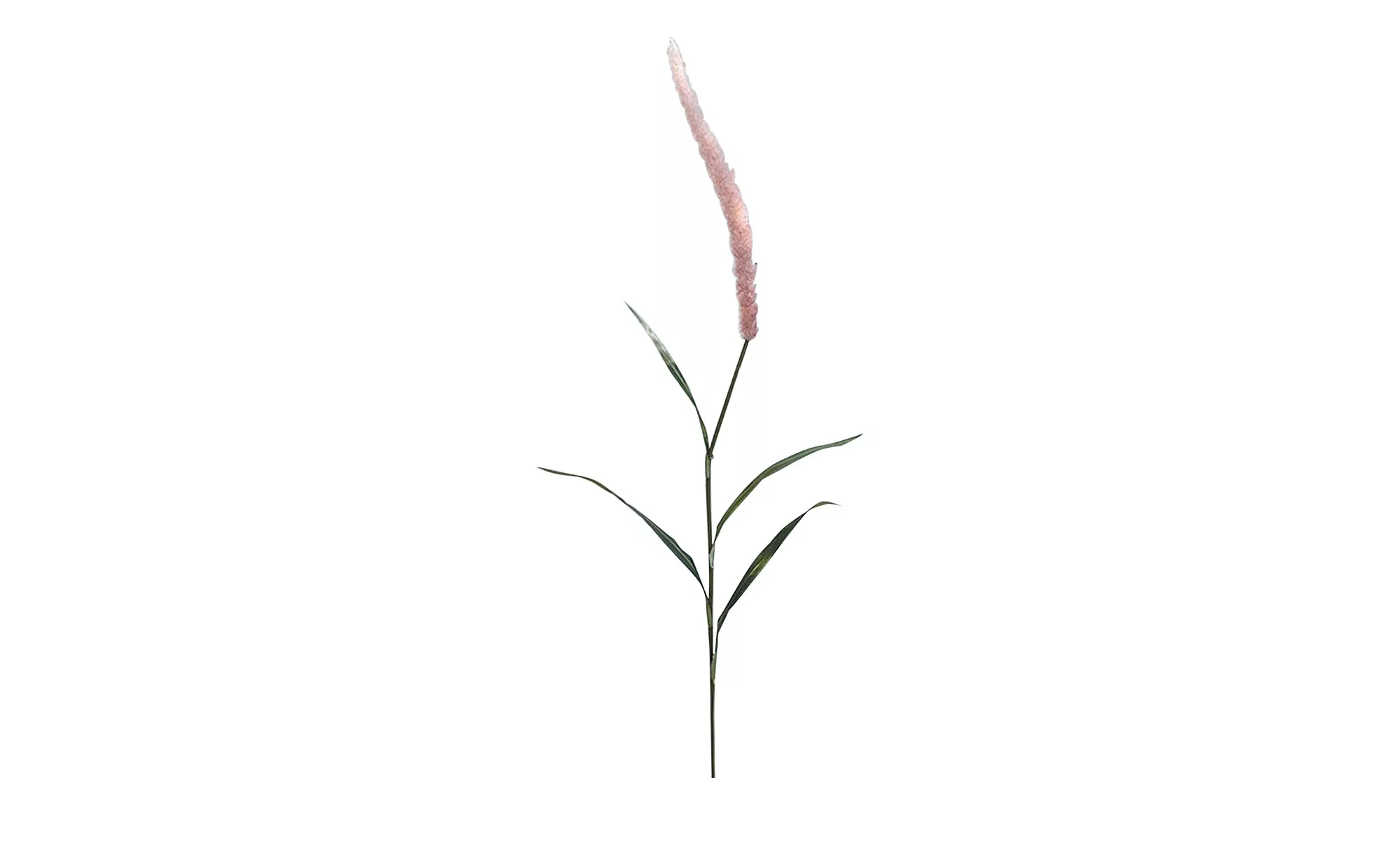 Schilfgras - rosa/pink - Kunststoff - 160 cm - Dekoration > Kunstblumen - M günstig online kaufen