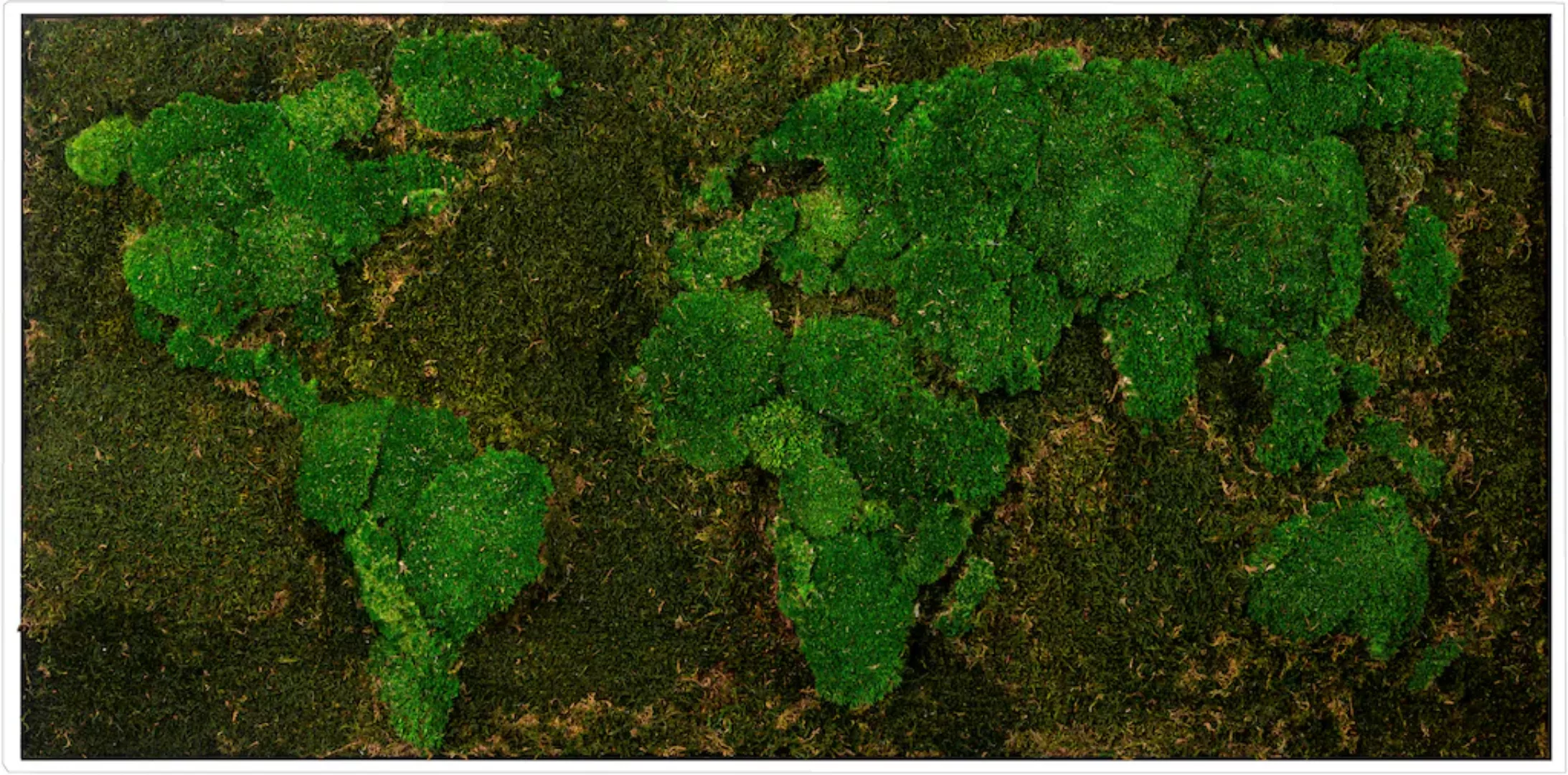 Bönninghoff Bild mit Rahmen "Moos", Weltkarte, (1 St.) günstig online kaufen