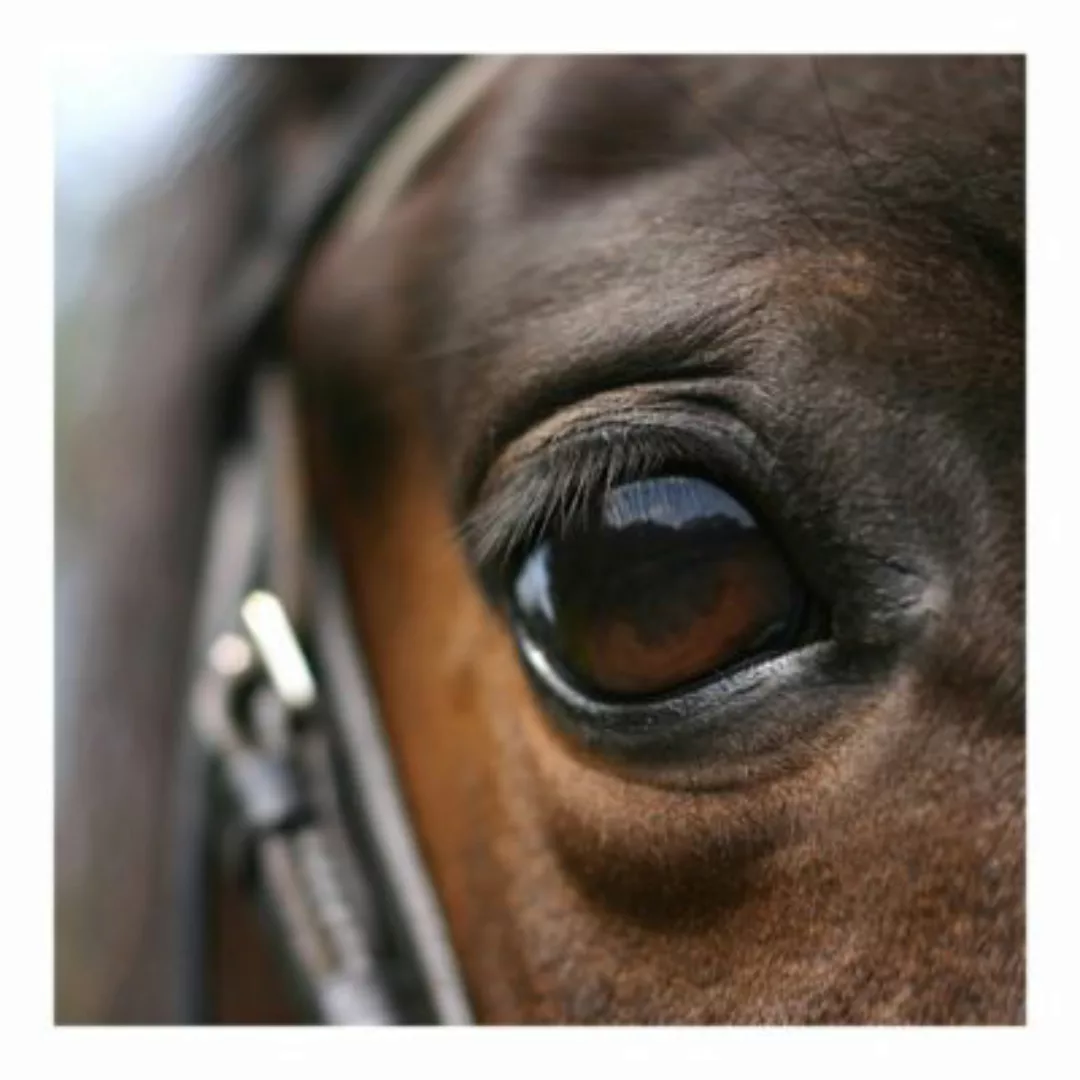 Bilderwelten Kindertapete Horse Eye braun Gr. 192 x 192 günstig online kaufen