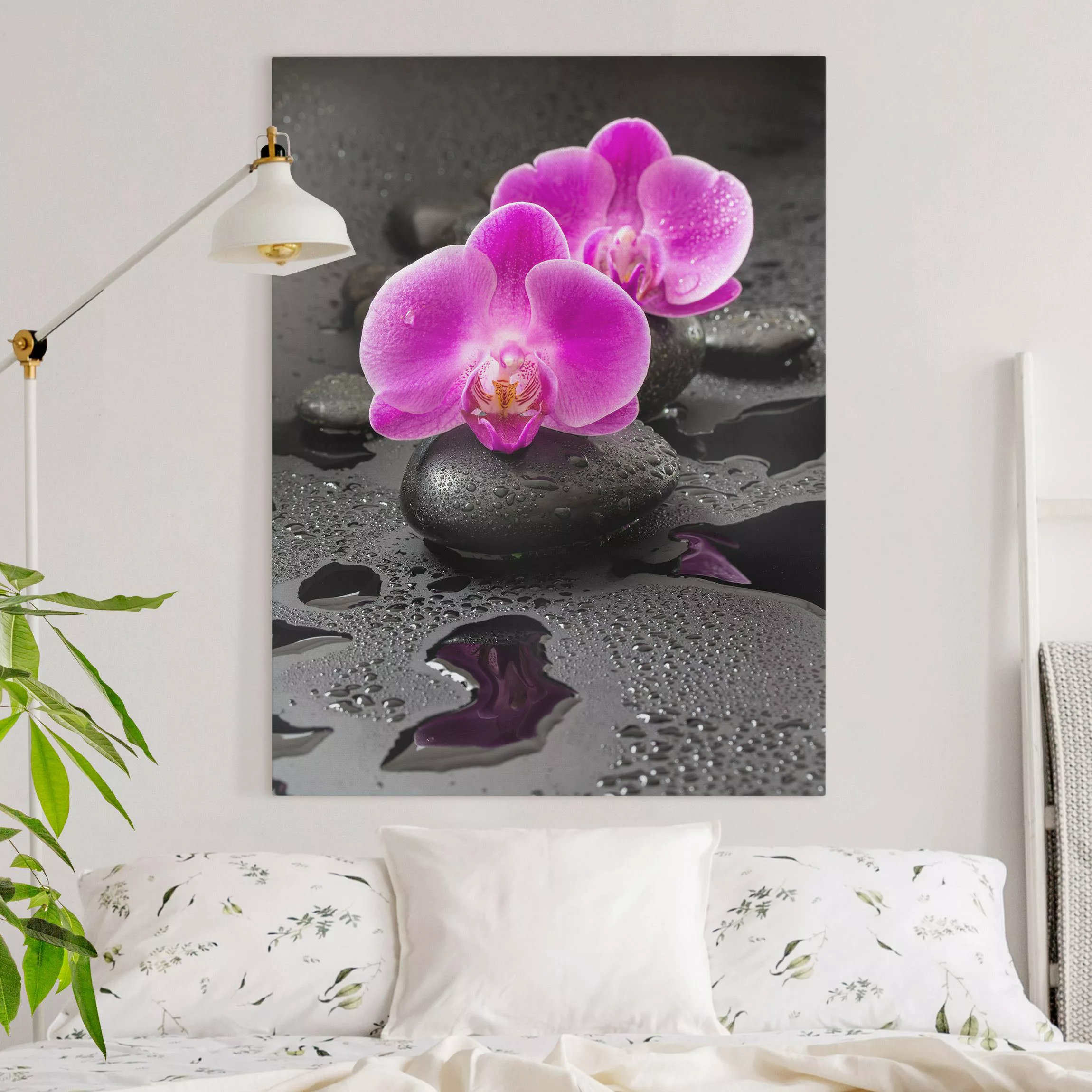 Leinwandbild Pinke Orchideenblüten auf Steinen mit Tropfen günstig online kaufen