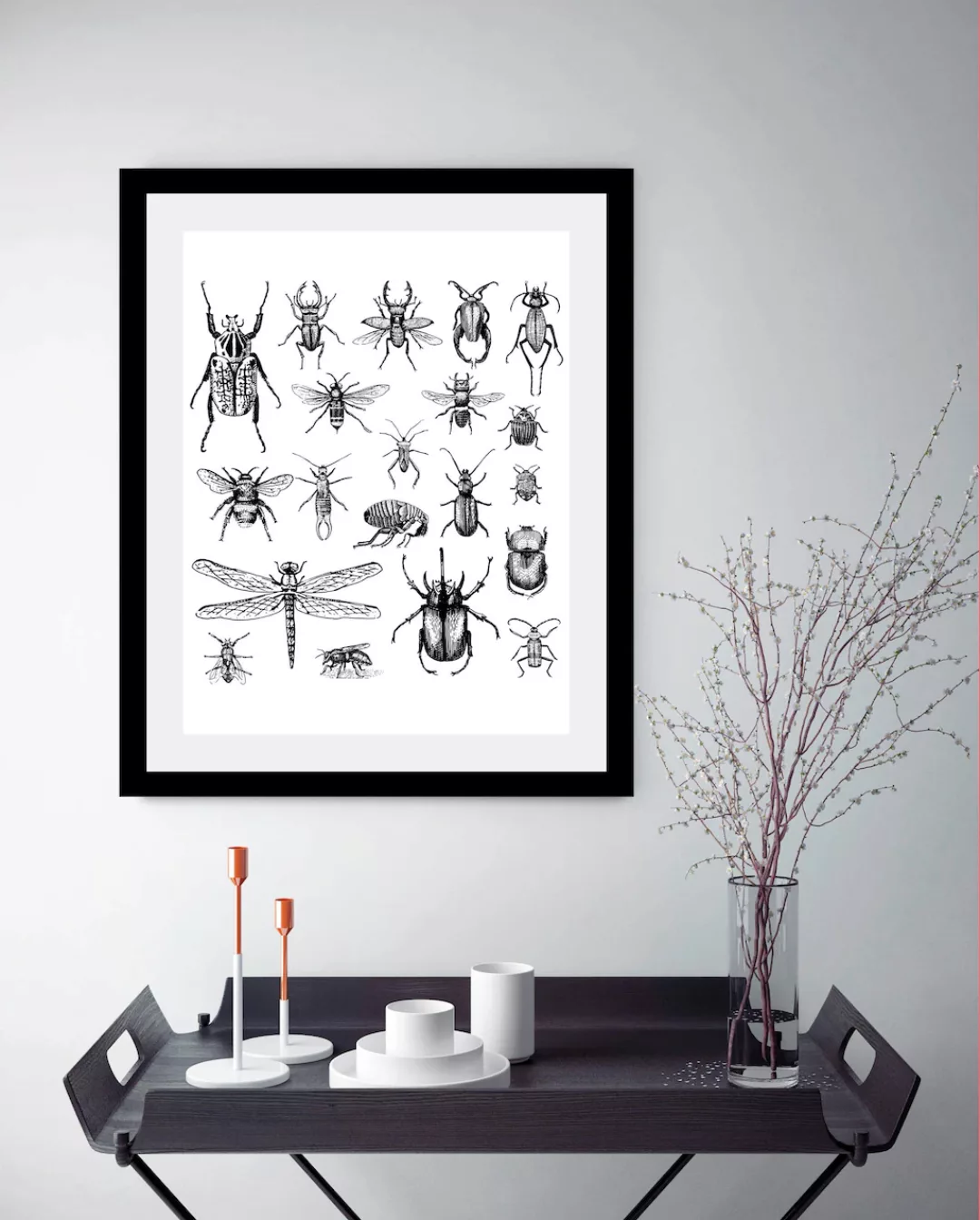 queence Bild »Käfer«, in 3 Größen, gerahmt günstig online kaufen