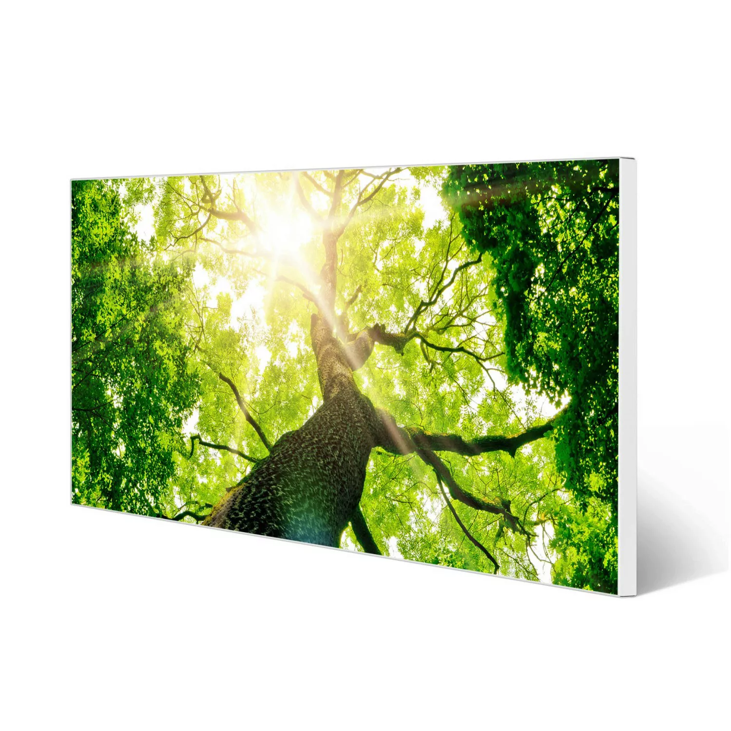 Banjado Magnettafel 78x37cm Magnetwand  Weiß Aus Metall Magnetpinnwand Pinn günstig online kaufen