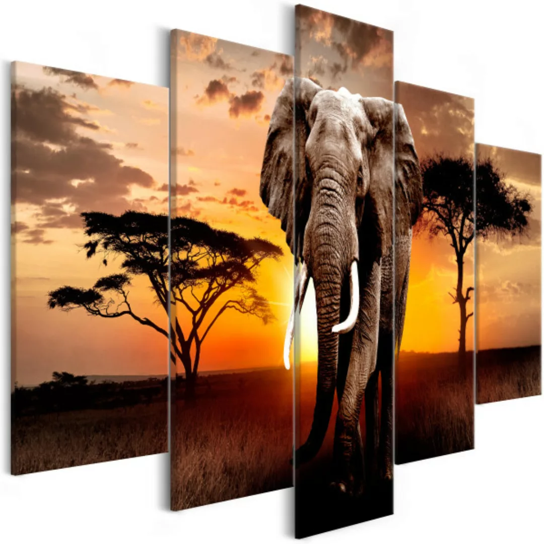 Leinwandbild Wandering Elephant (5 Parts) Wide XXL günstig online kaufen