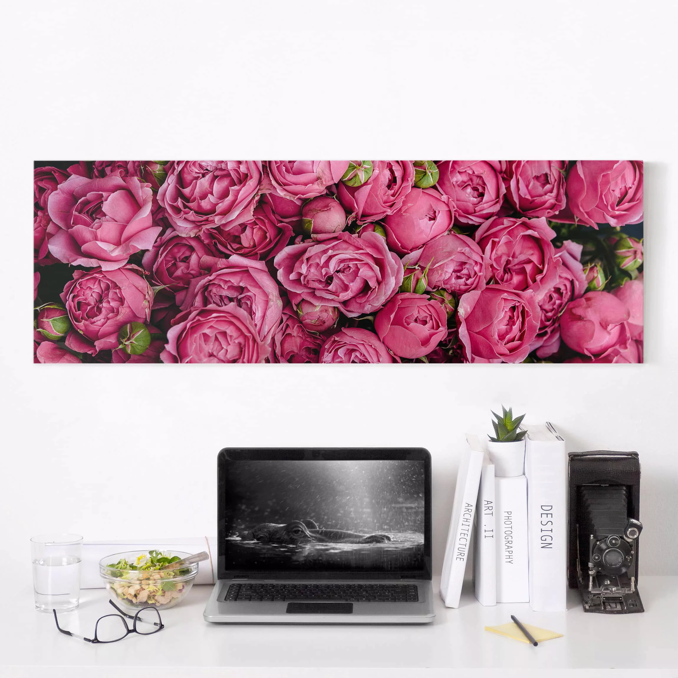 Leinwandbild Blumen - Panorama Pinke Pfingstrosen günstig online kaufen