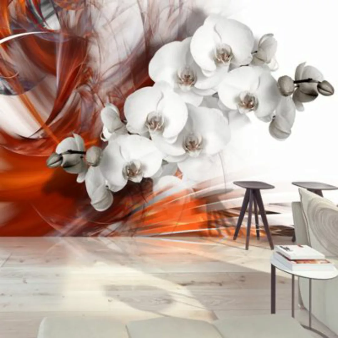 artgeist Fototapete Orchid on fire II mehrfarbig Gr. 150 x 105 günstig online kaufen