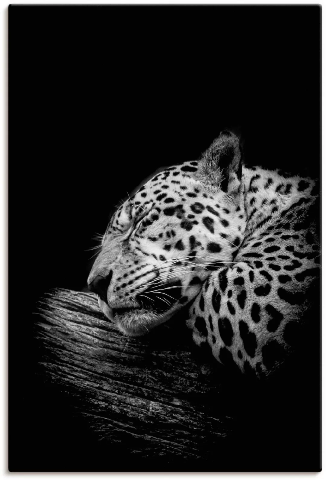 Artland Wandbild »Der schlafende Jaguar«, Wildtiere, (1 St.) günstig online kaufen
