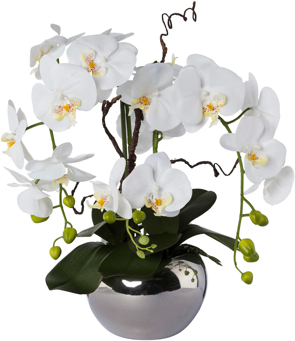 Creativ green Kunstorchidee "Phalaenopsis", im Keramiktopf günstig online kaufen