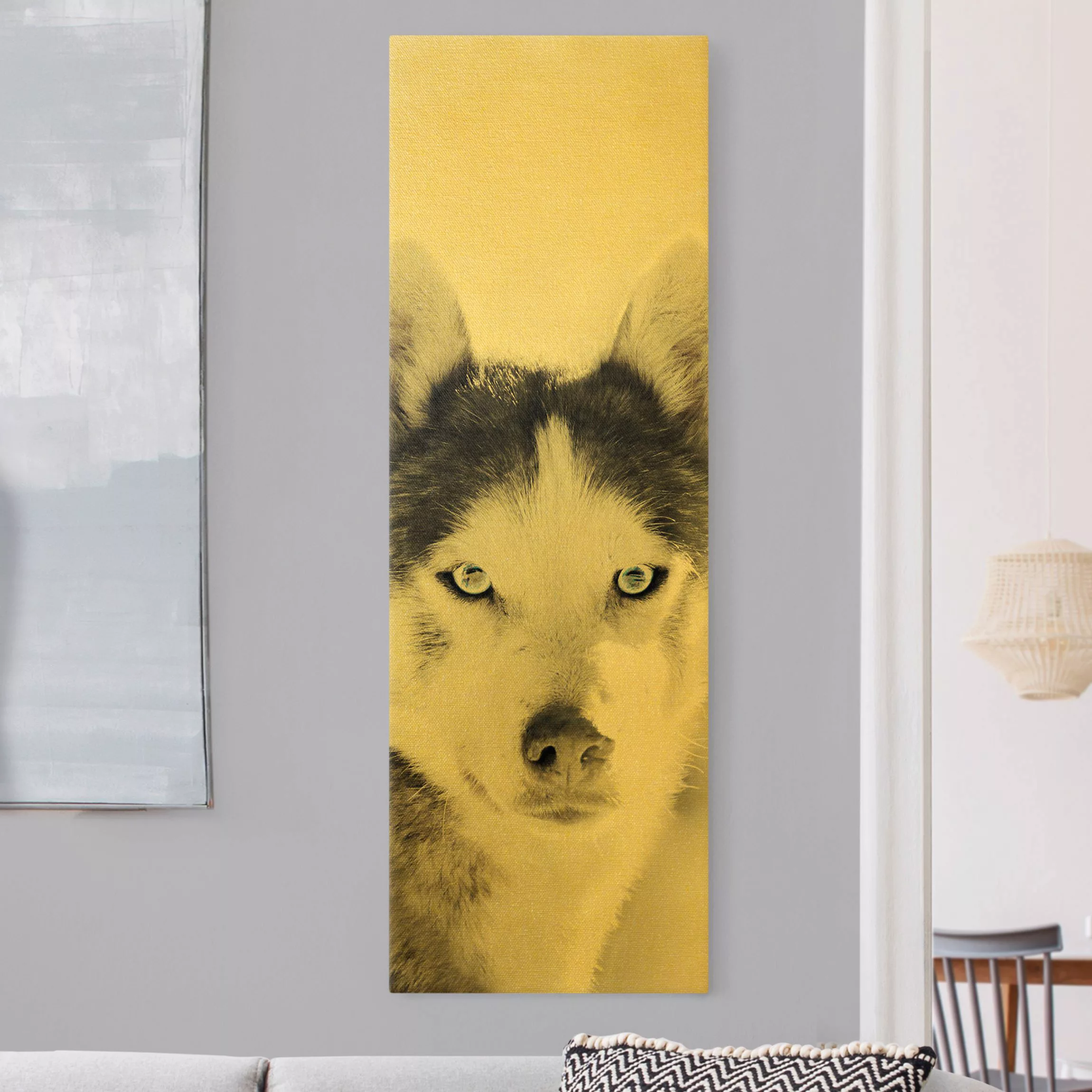 Leinwandbild Gold Husky Portrait günstig online kaufen