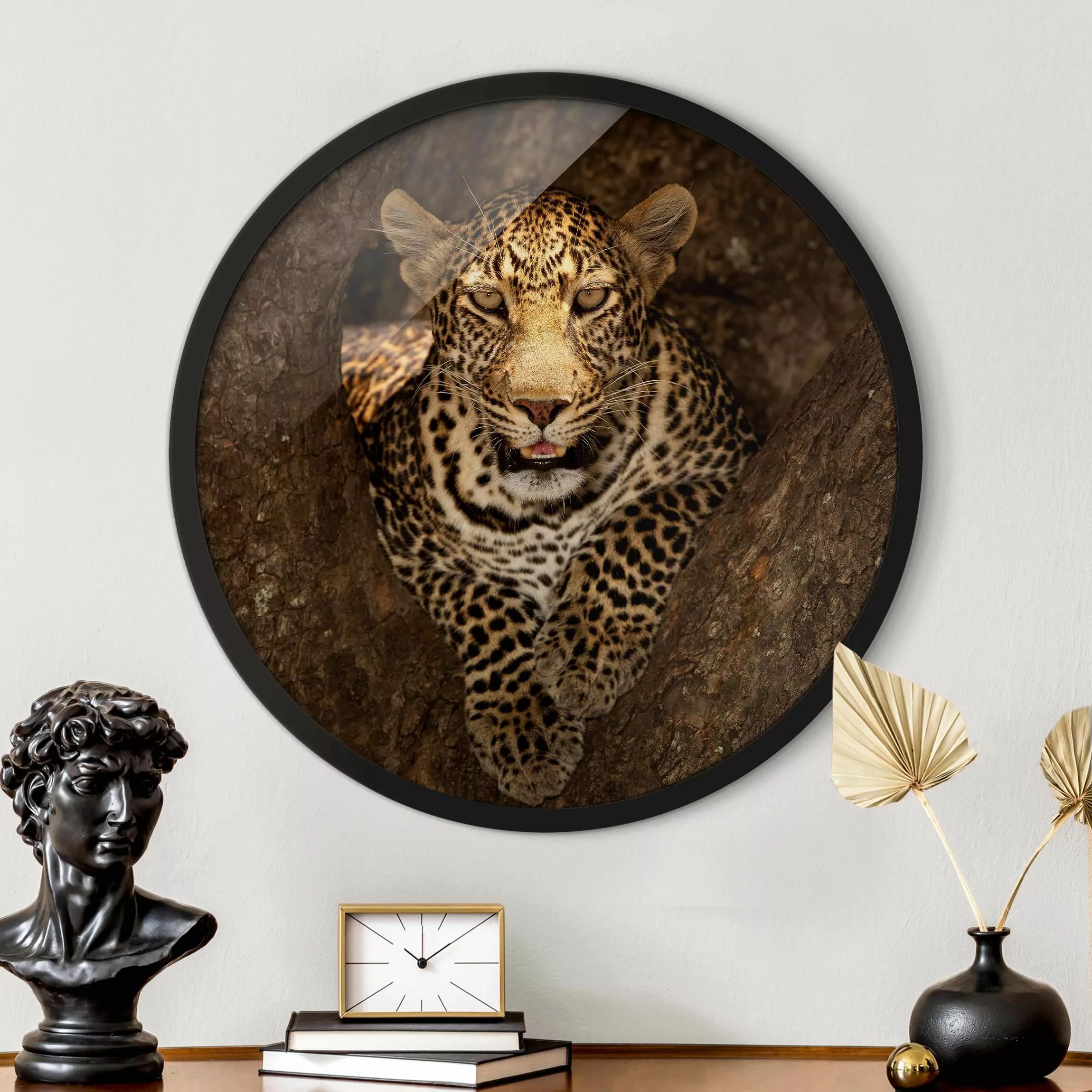 Rundes Gerahmtes Bild Leopard ruht auf einem Baum günstig online kaufen