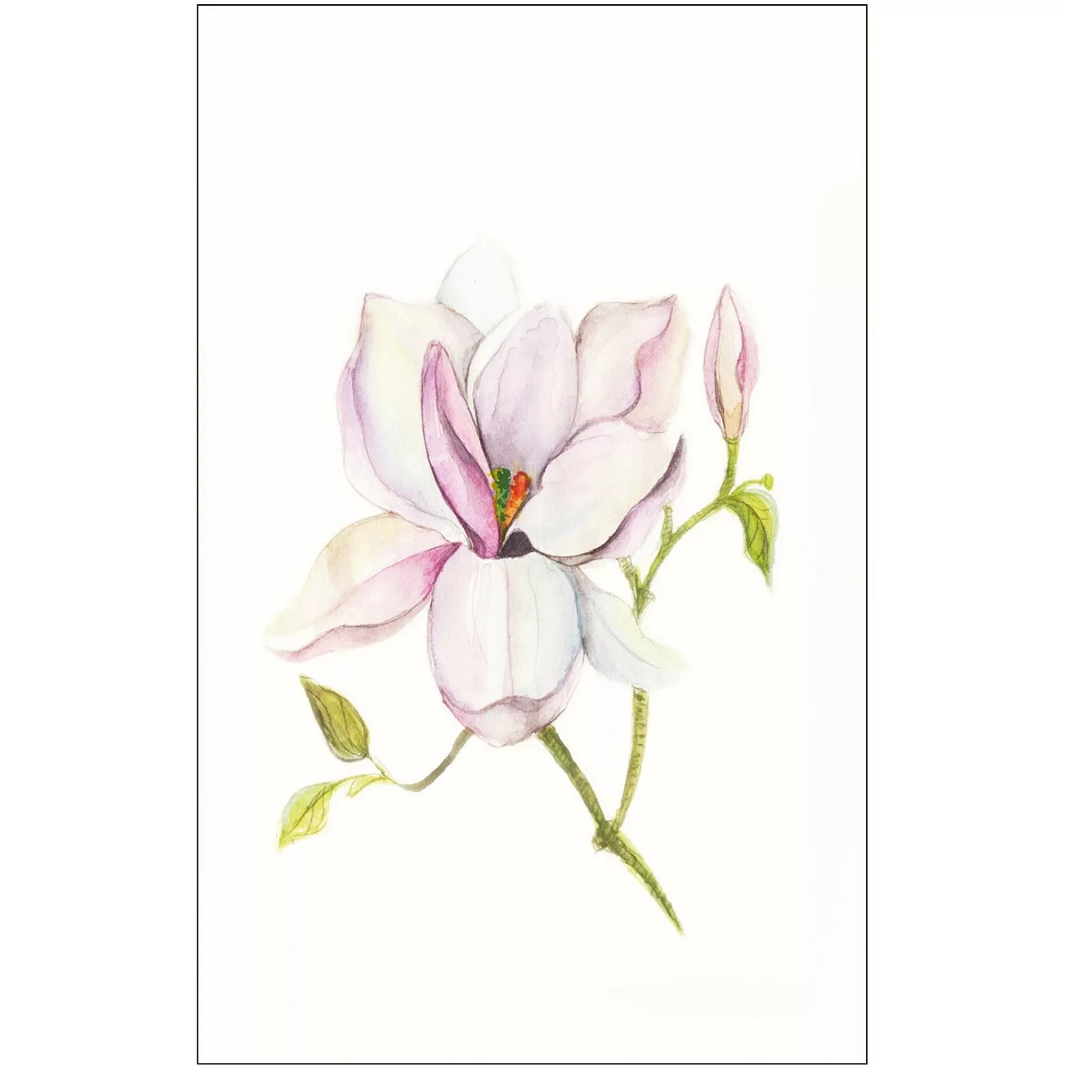 Komar Poster "Magnolia Shine", Blumen, (1 St.), Kinderzimmer, Schlafzimmer, günstig online kaufen