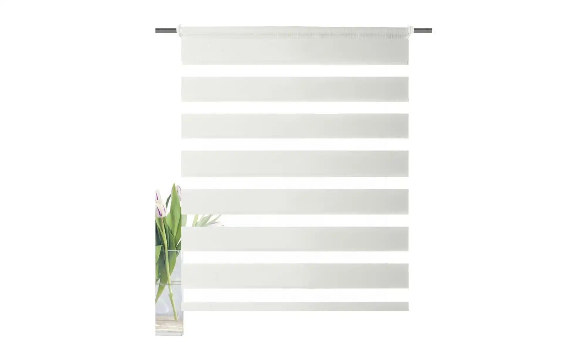 Doppelrollo STRIPES, HOME WOHNIDEEN, Lichtschutz, ohne günstig online kaufen