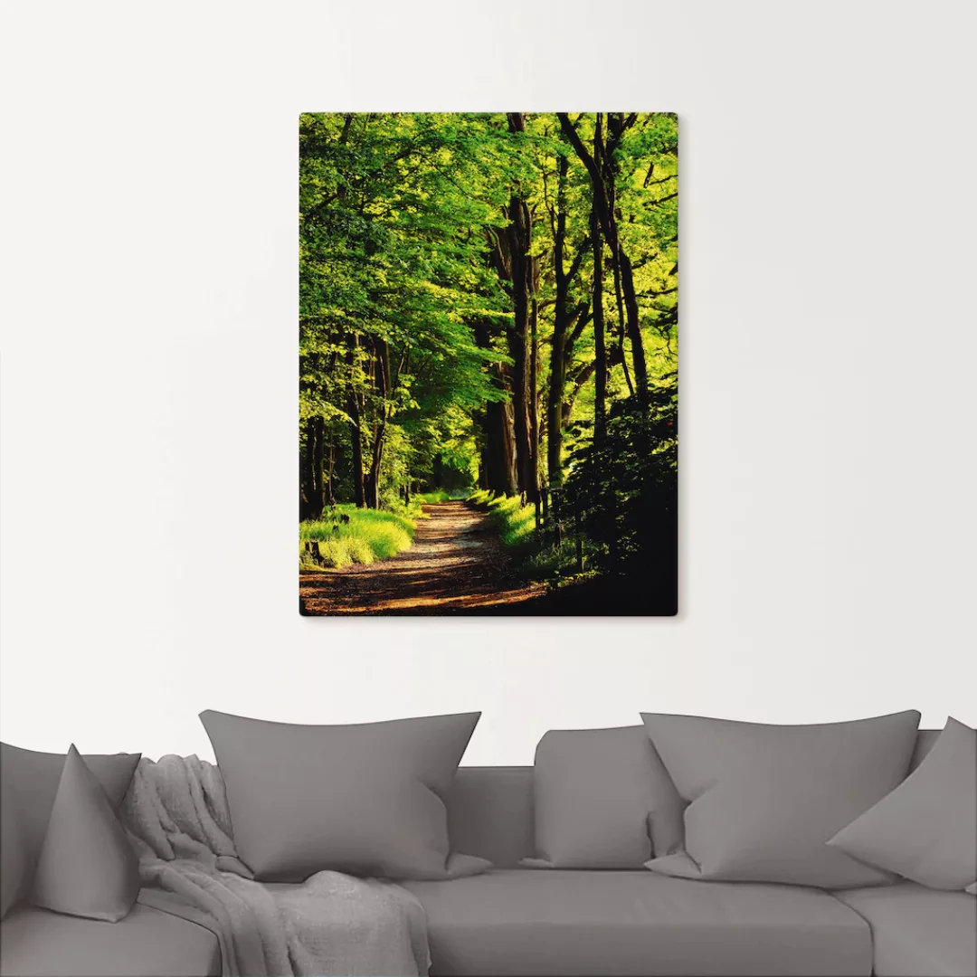 Artland Wandbild »Weg im Wald«, Wald, (1 St.), als Alubild, Outdoorbild, Le günstig online kaufen