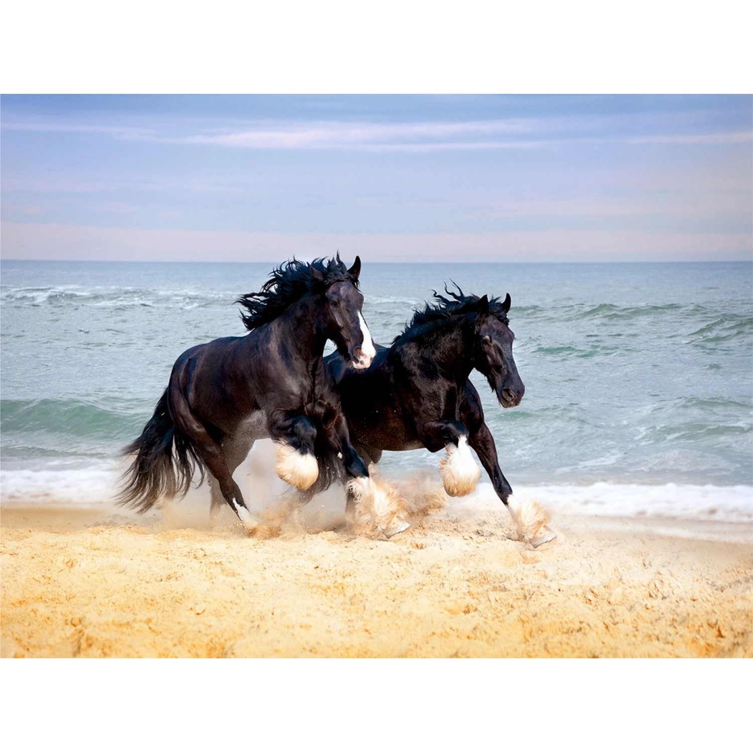 Sanders & Sanders Fototapete Pferde Beige Braun und Blau 360 x 270 cm 60041 günstig online kaufen