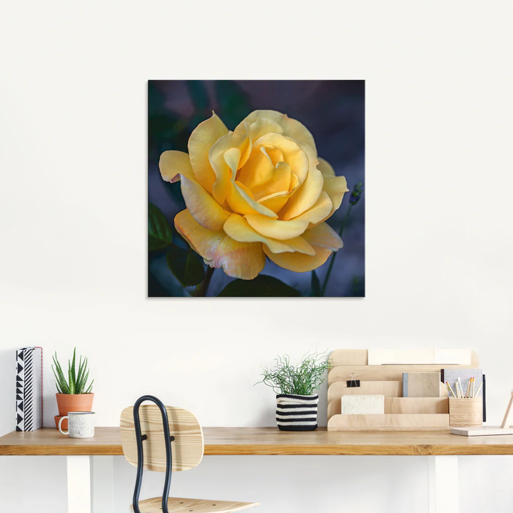 Artland Glasbild "Gelbe Rose", Blumen, (1 St.), in verschiedenen Größen günstig online kaufen