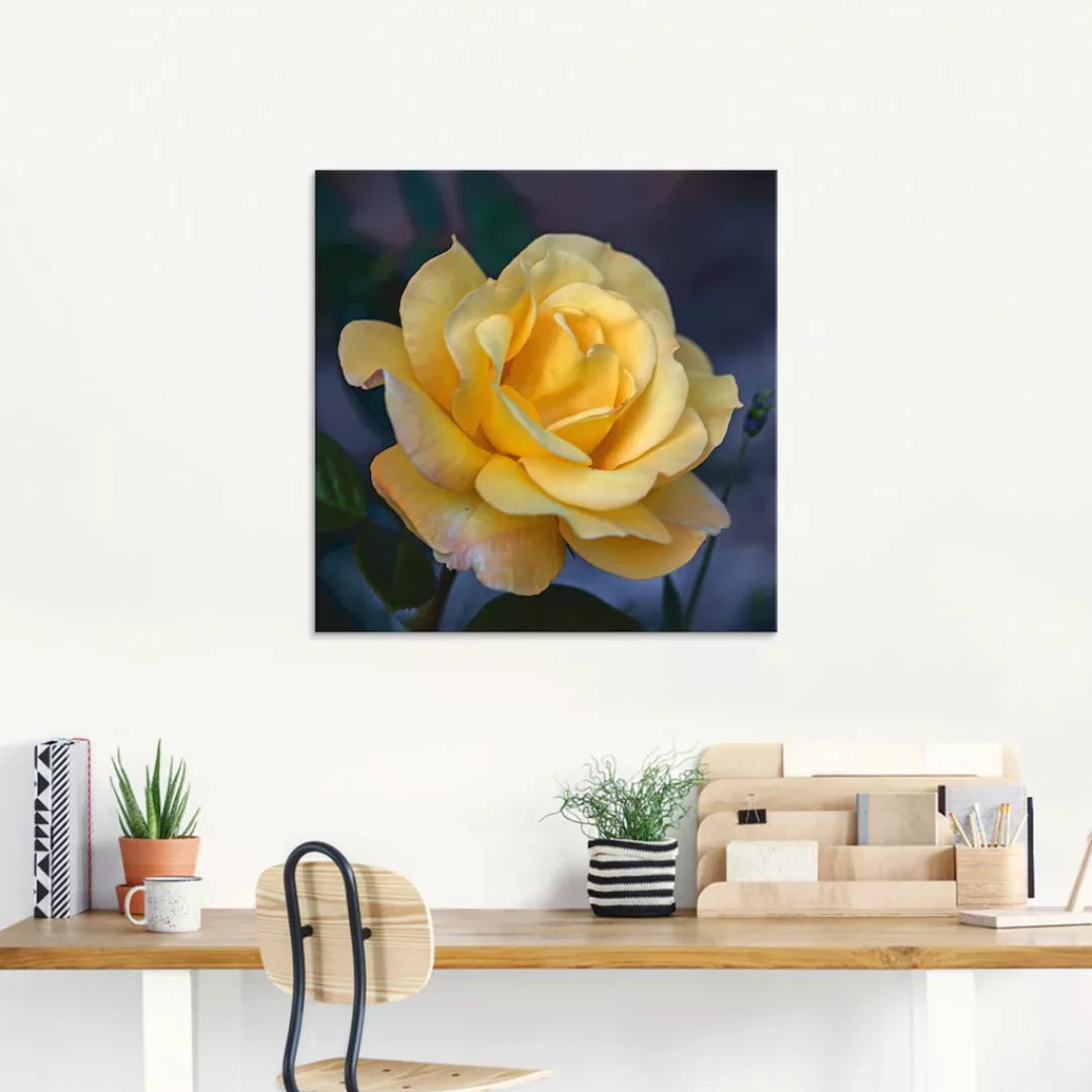 Artland Glasbild »Gelbe Rose«, Blumen, (1 St.), in verschiedenen Größen günstig online kaufen