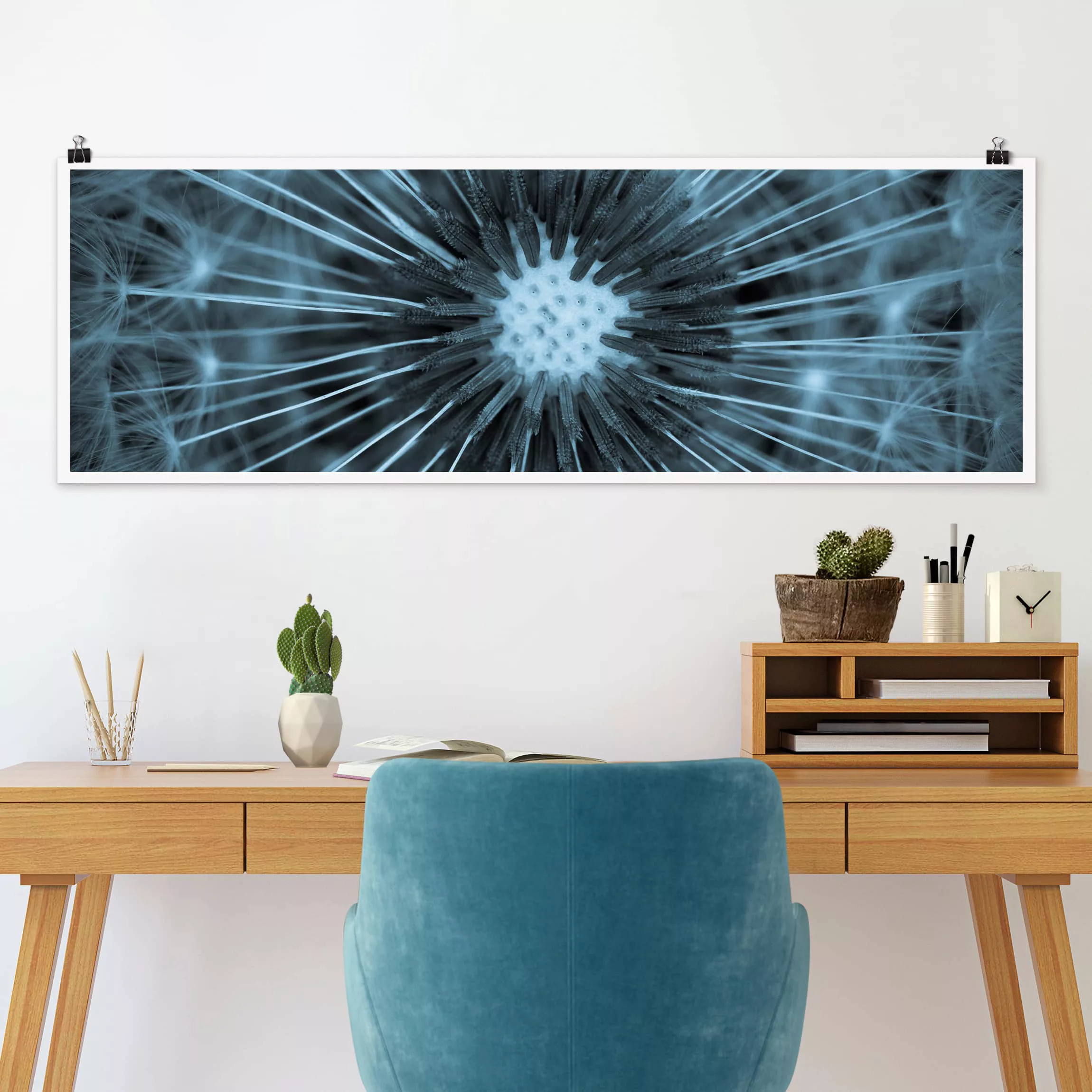 Panorama Poster Blau getönte Pusteblume günstig online kaufen