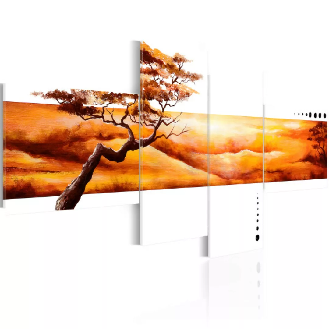 Wandbild Orange Wolken über Savanne XXL günstig online kaufen