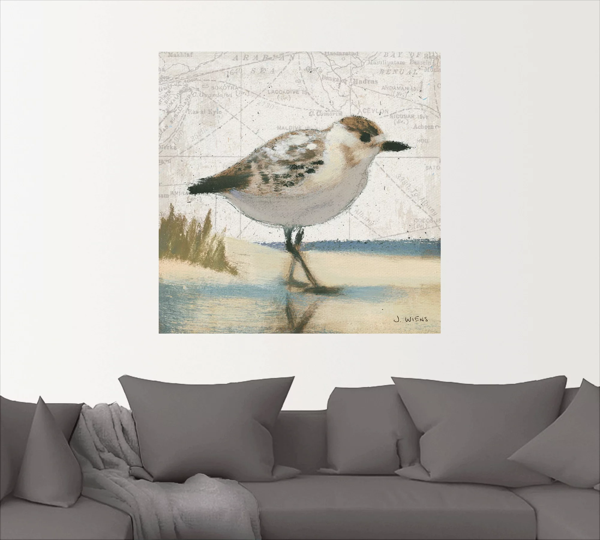 Artland Wandbild "Möwe I", Vögel, (1 St.), als Leinwandbild, Wandaufkleber günstig online kaufen