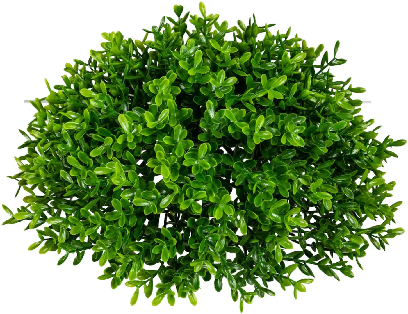 Creativ green Kunstpflanze "Teeblatt-Halbkugel" günstig online kaufen