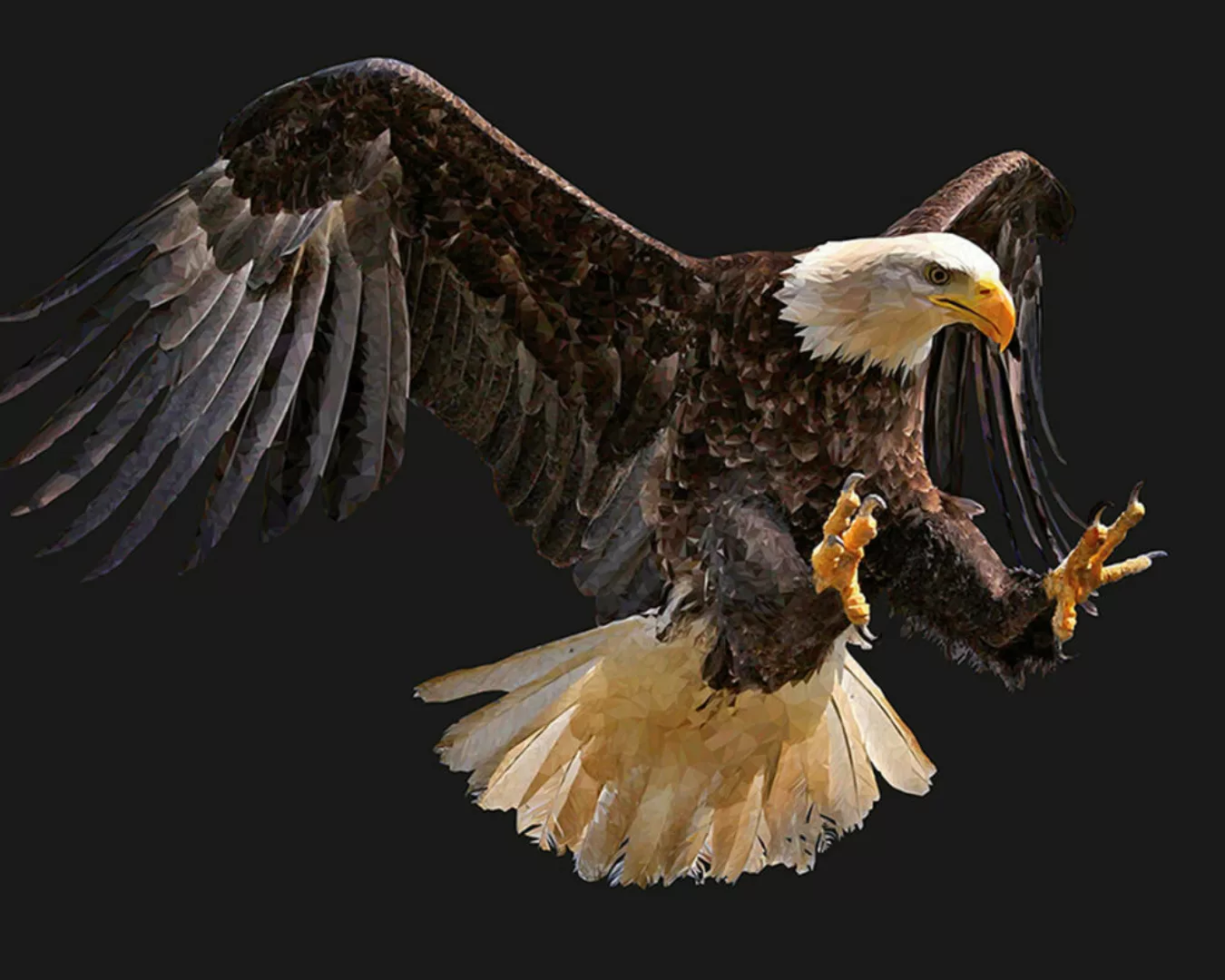 Fototapete "Adler" 4,00x2,67 m / Glattvlies Perlmutt günstig online kaufen