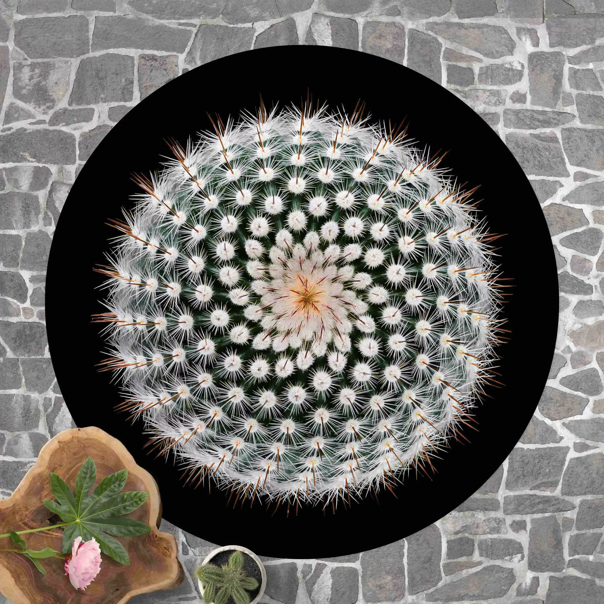 Runder Vinyl-Teppich Kaktusblüte günstig online kaufen