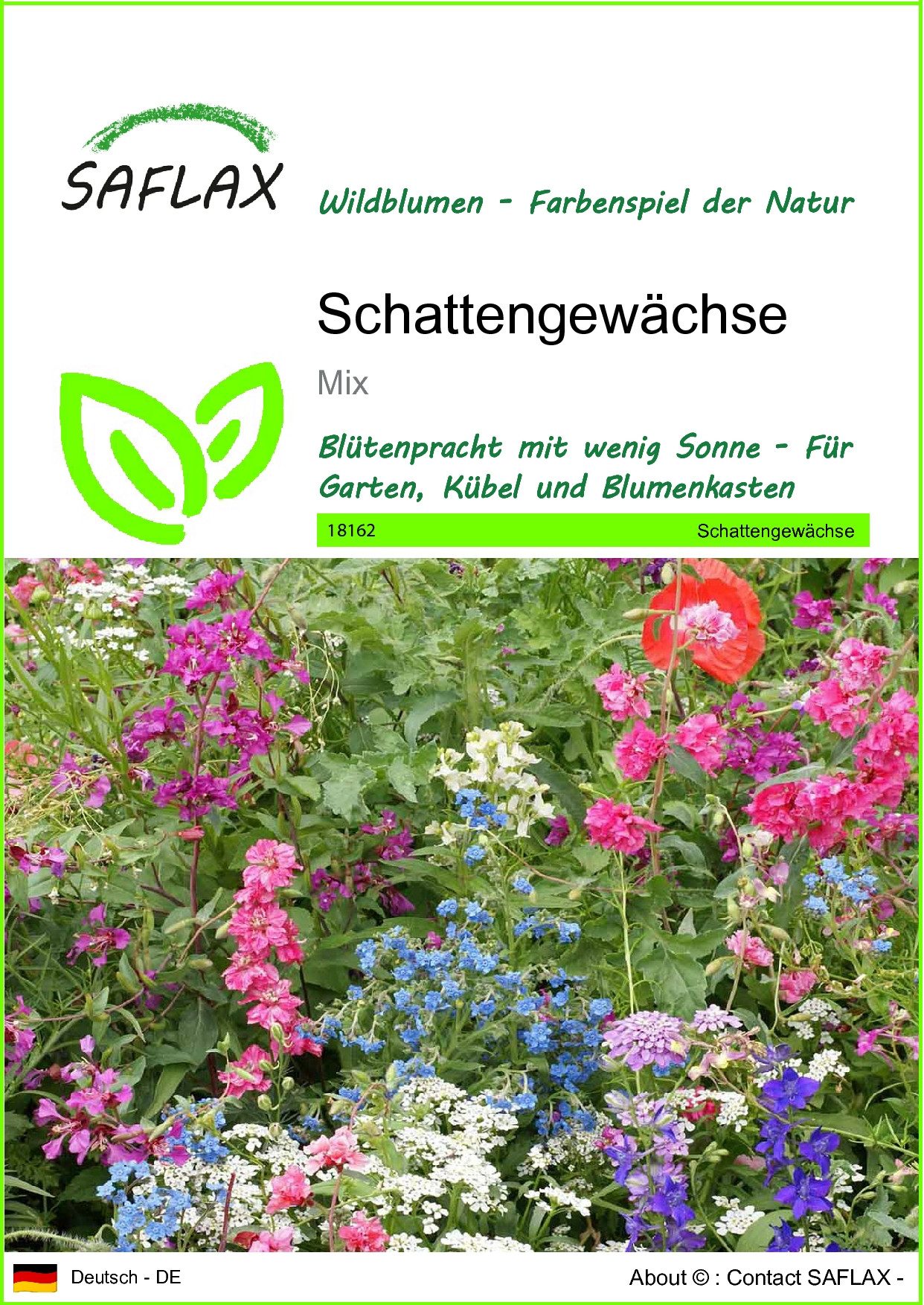 SAFLAX Blumensamen SAFLAX - Samen - günstig online kaufen
