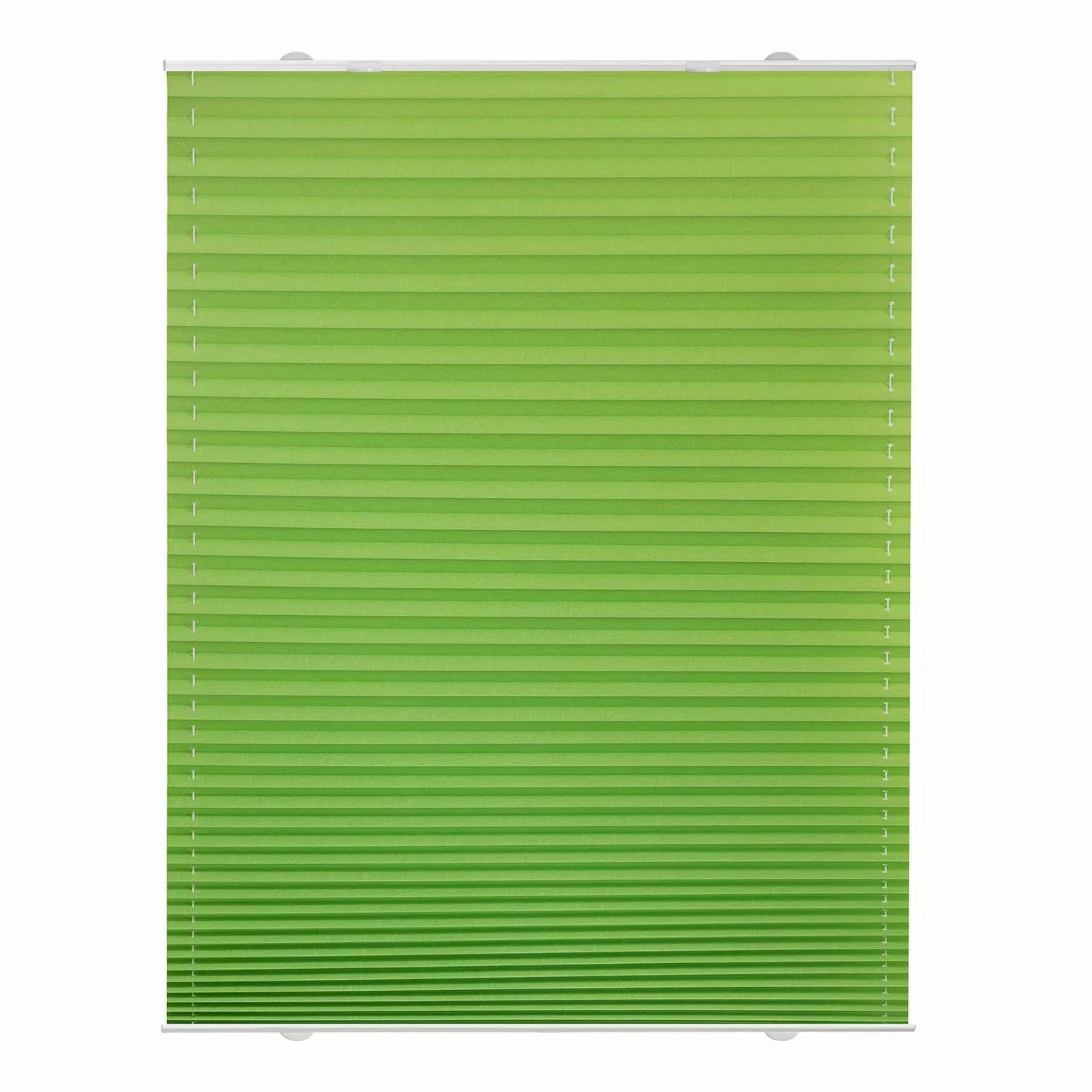 Spannplissee grün B/L: ca. 70x130 cm günstig online kaufen