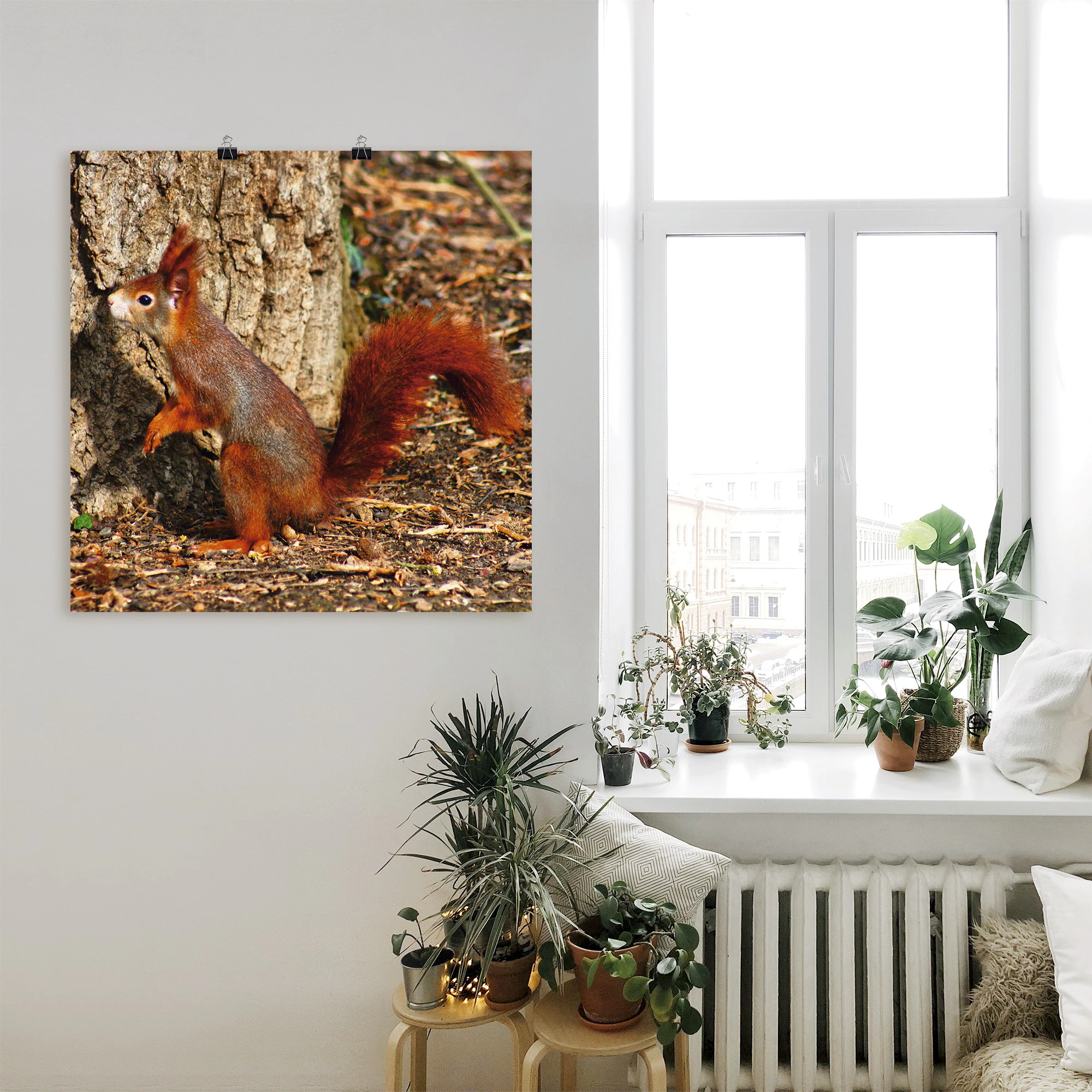 Artland Wandbild "Rotes Eichhörnchen will hoch hinaus", Wildtiere, (1 St.), günstig online kaufen